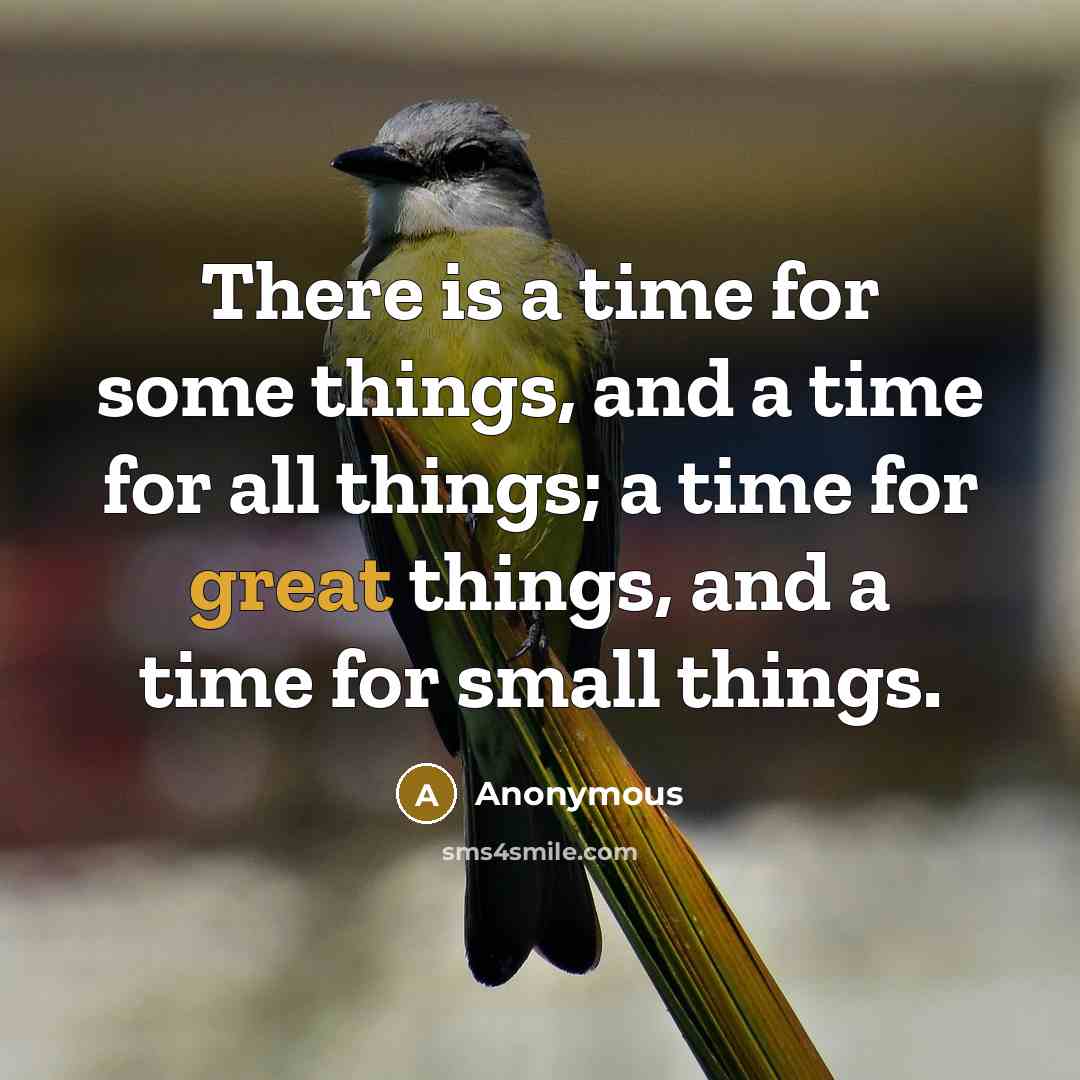 “There is a time for some things, and a time for all things; a time for great things, and a time for small things.” quote by Anonymous