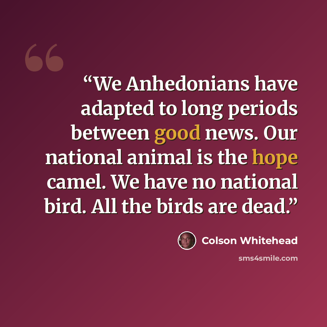 “We Anhedonians have adapted to long periods between good news. Our national animal is the hope camel. We have no national bird. All the birds are dead.” quote by Colson Whitehead
