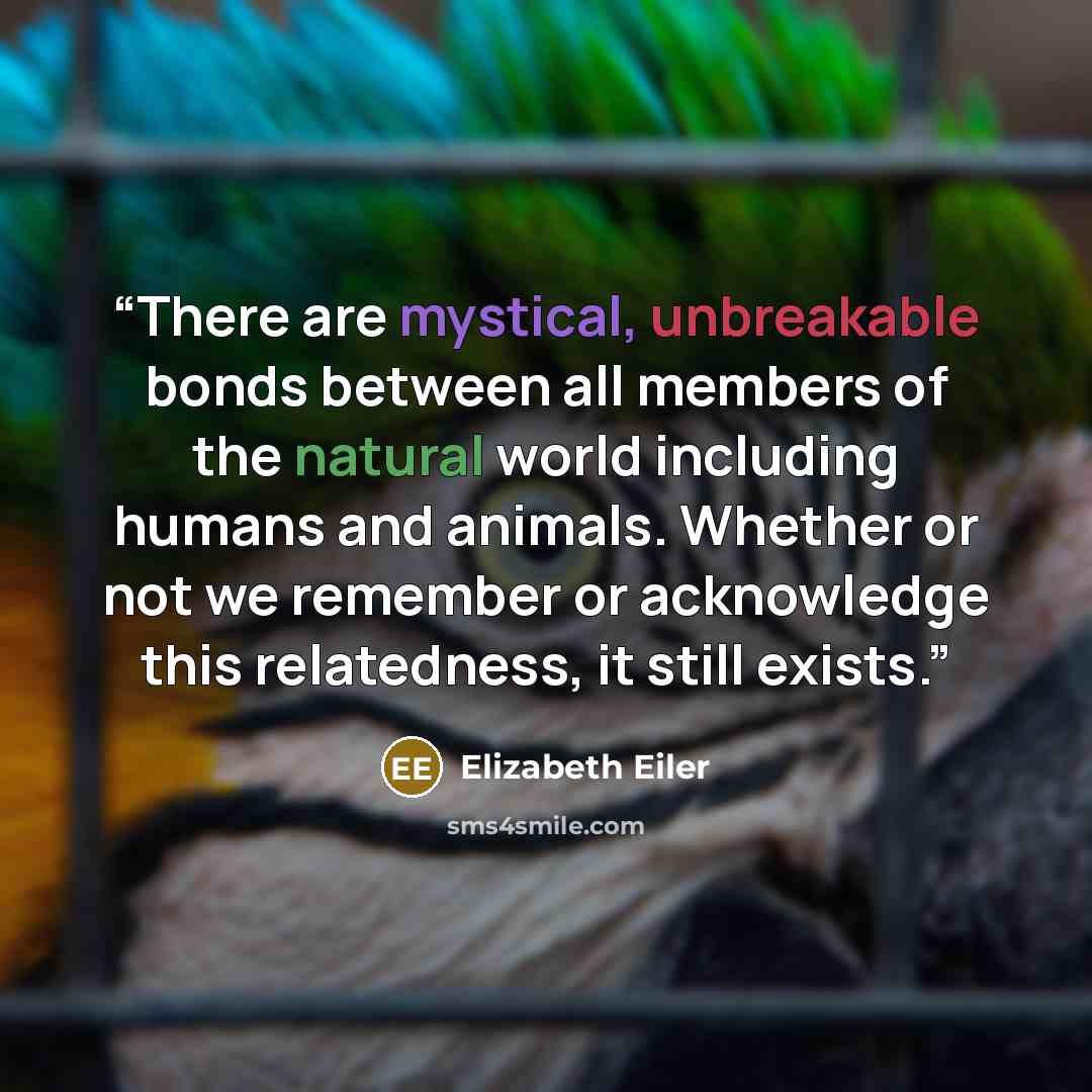 “There are mystical, unbreakable bonds between all members of the natural world including humans and animals. Whether or not we remember or acknowledge this relatedness, it still exists.” quote by Elizabeth Eiler