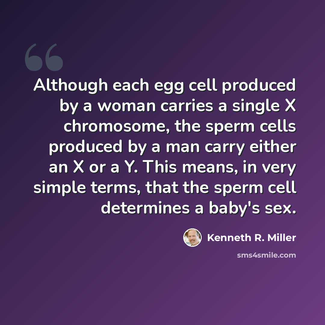 “Although each egg cell produced by a woman carries a single X chromosome, the sperm cells produced by a man carry either an X or a Y. This means, in very simple terms, that the sperm cell determines a baby's sex.” quote by Kenneth R. Miller