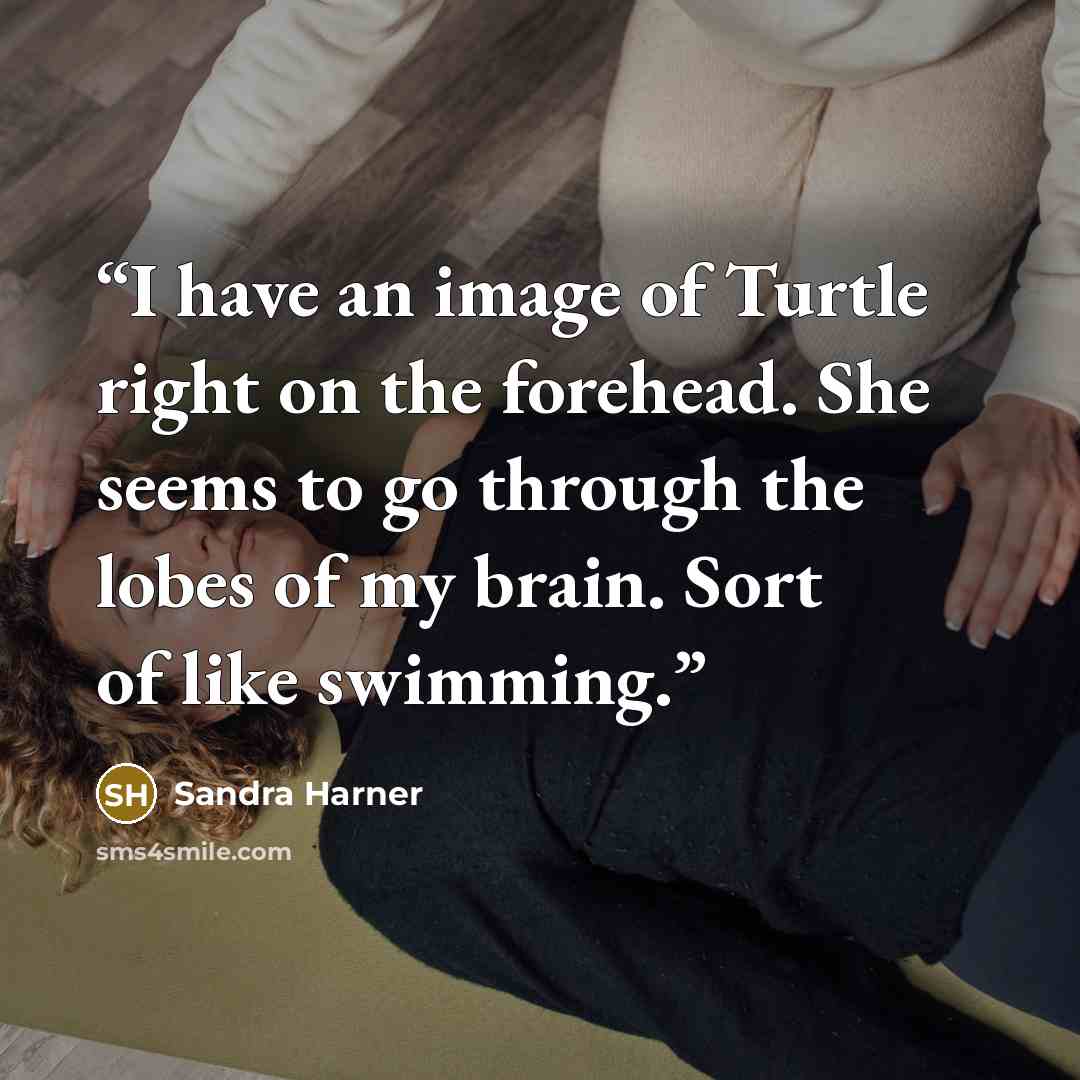 “I have an image of Turtle right on the forehead. She seems to go through the lobes of my brain. Sort of like swimming.” quote by Sandra Harner