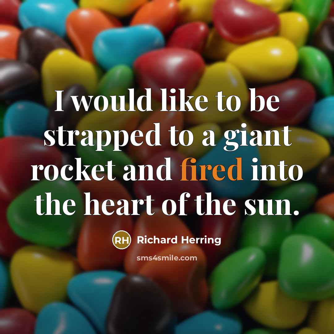 “I would like to be strapped to a giant rocket and fired into the heart of the sun.” quote by Richard Herring