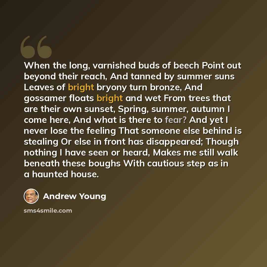 “When the long, varnished buds of beech Point out beyond their reach, And tanned by summer suns Leaves of bright bryony turn bronze, And gossamer floats bright and wet From trees that are their own sunset, Spring, summer, autumn I come here, And what is there to fear? And yet I never lose the…” quote by Andrew Young