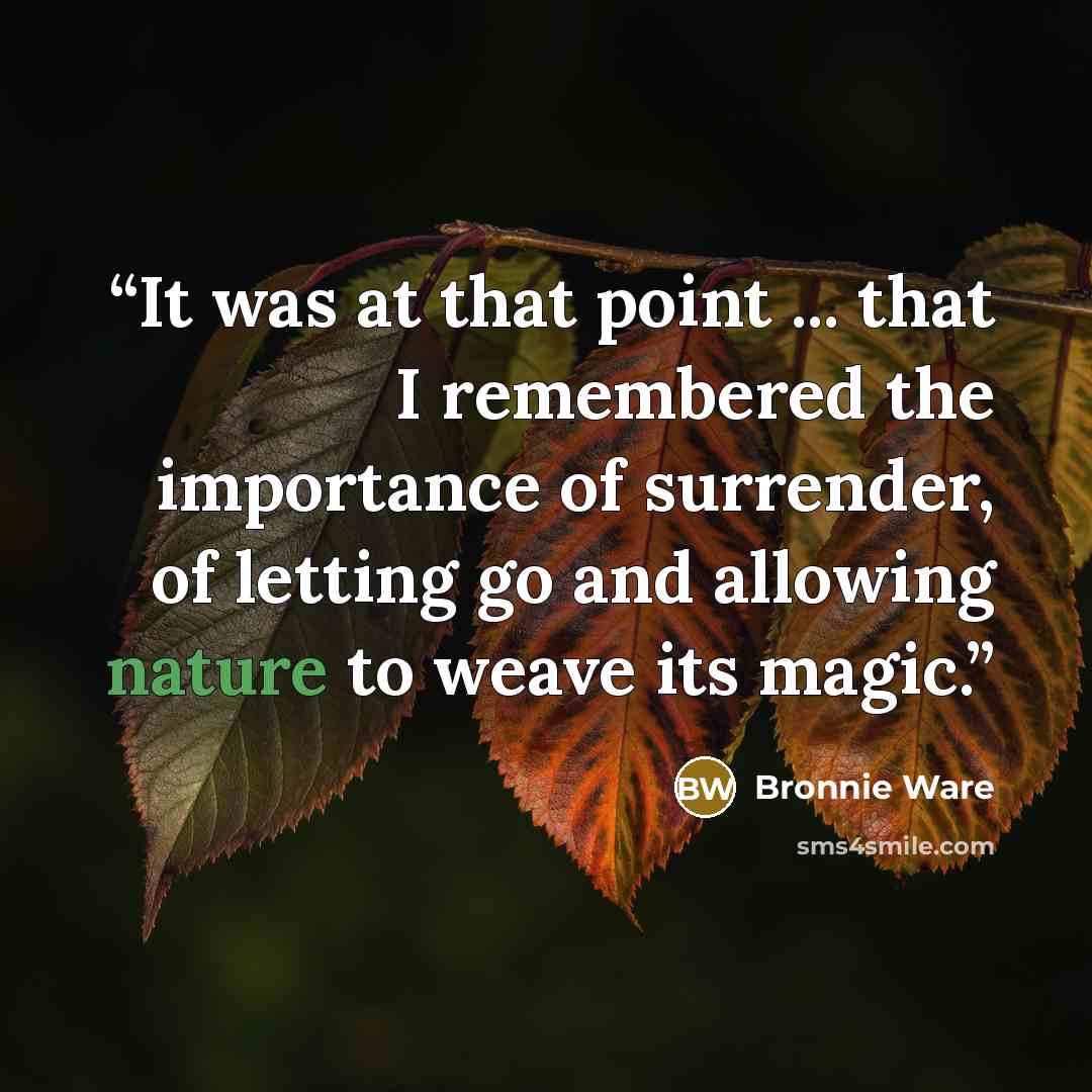“It was at that point ... that I remembered the importance of surrender, of letting go and allowing nature to weave its magic.” quote by Bronnie Ware