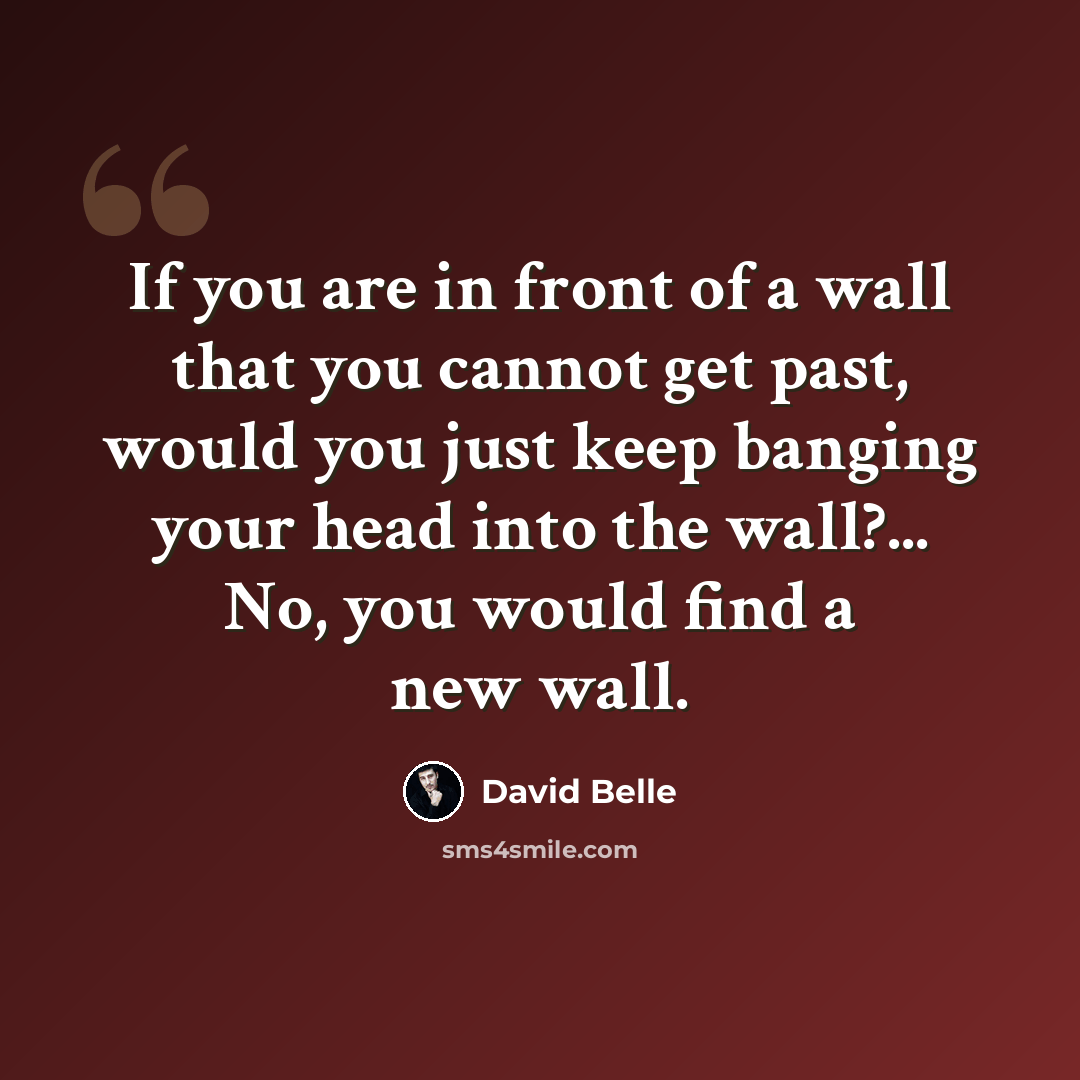 “If you are in front of a wall that you cannot get past, would you just keep banging your head into the wall?... No, you would find a new wall.” quote by David Belle