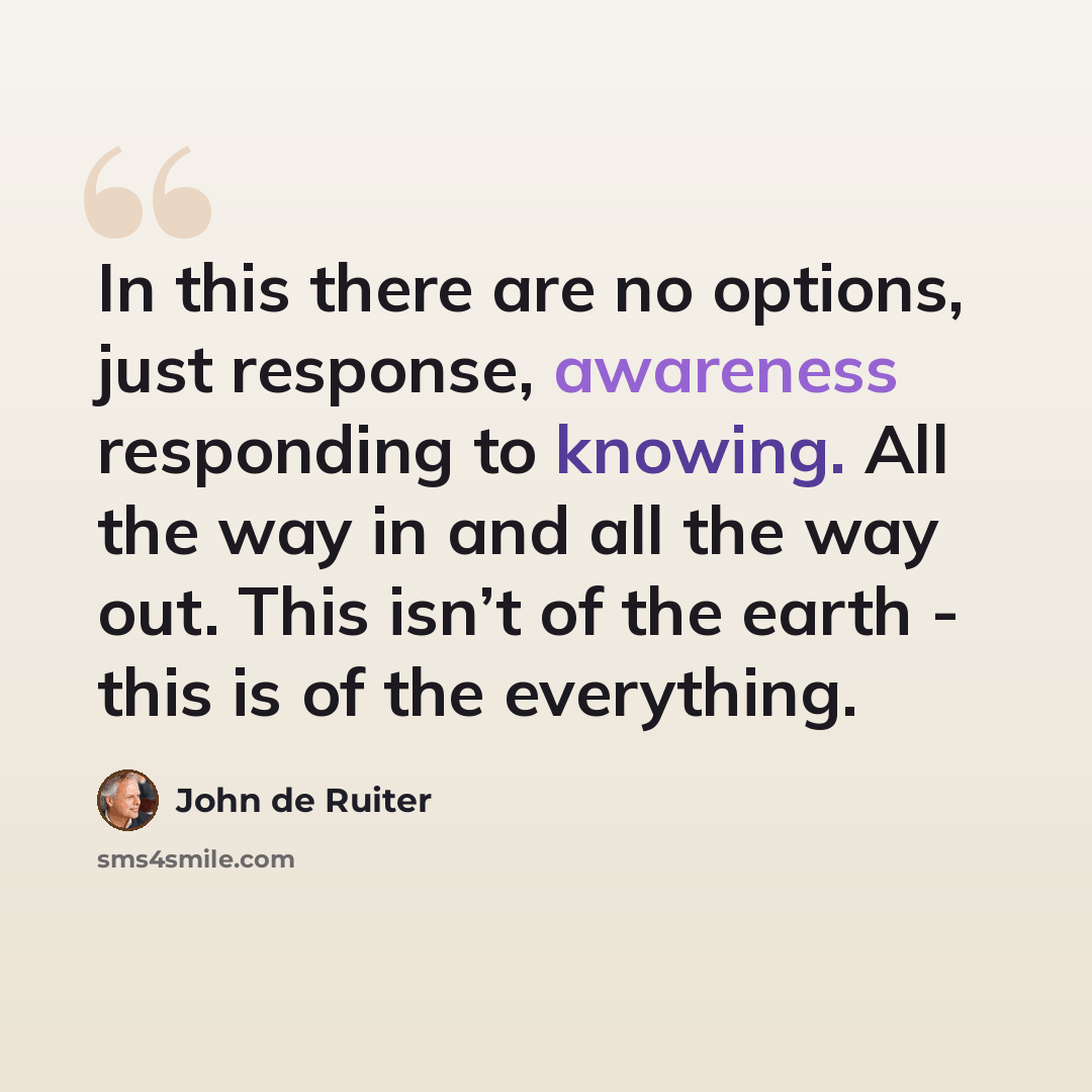 “In this there are no options, just response, awareness responding to knowing. All the way in and all the way out. This isn’t of the earth - this is of the everything.” quote by John de Ruiter