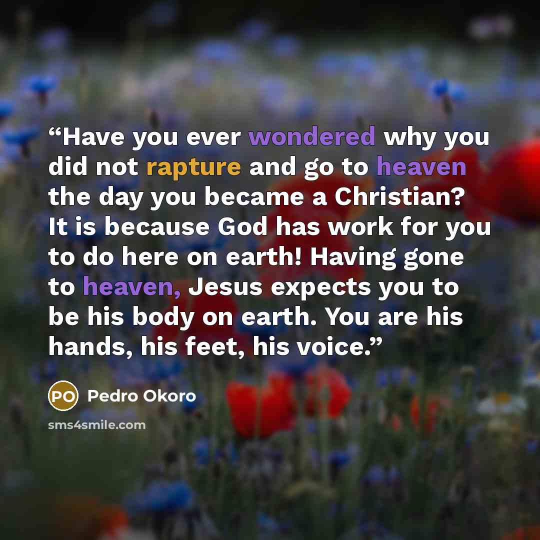 “Have you ever wondered why you did not rapture and go to heaven the day you became a Christian? It is because God has work for you to do here on earth! Having gone to heaven, Jesus expects you to be his body on earth. You are his hands, his feet, his voice.” quote by Pedro Okoro