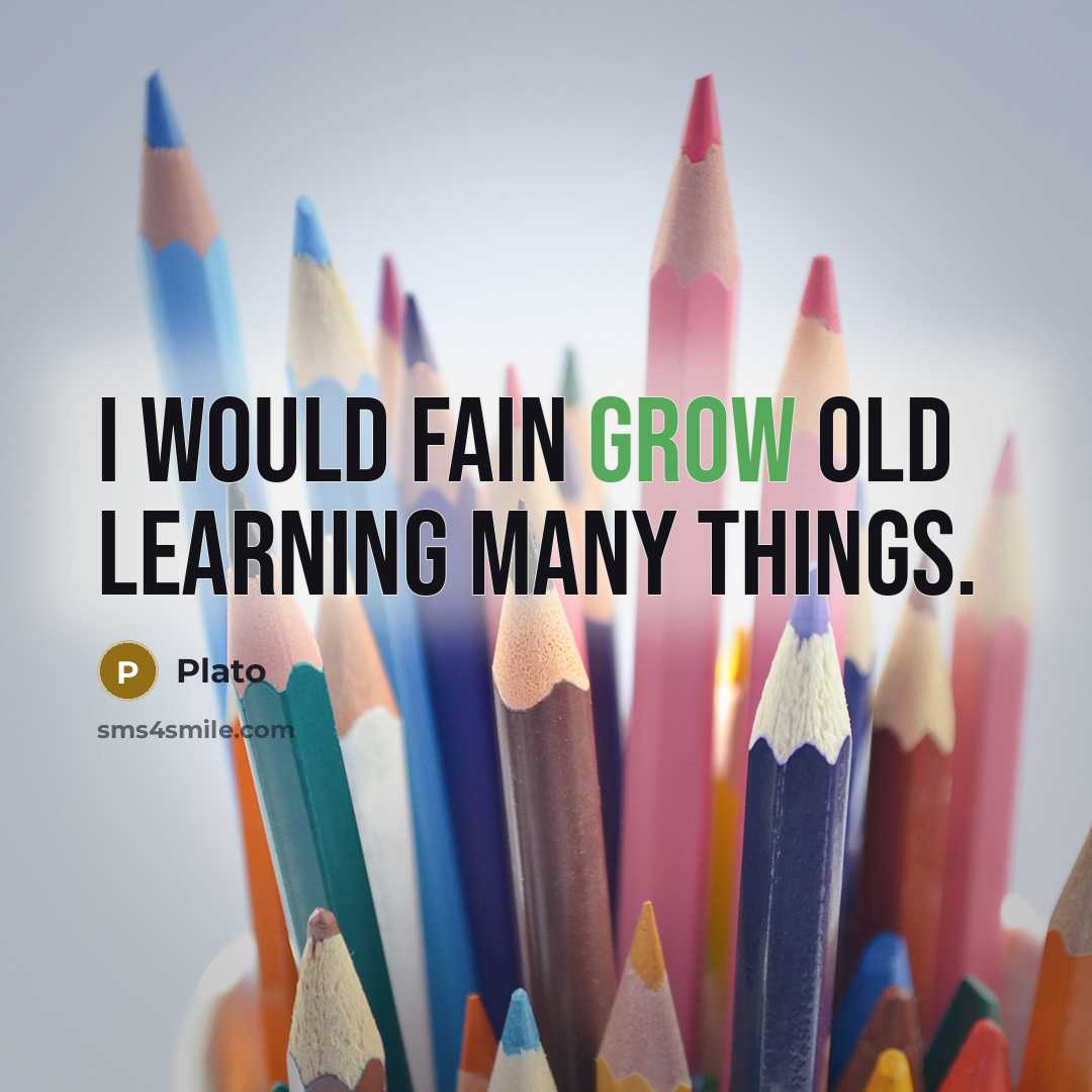 “I would fain grow old learning many things.” quote by Plato