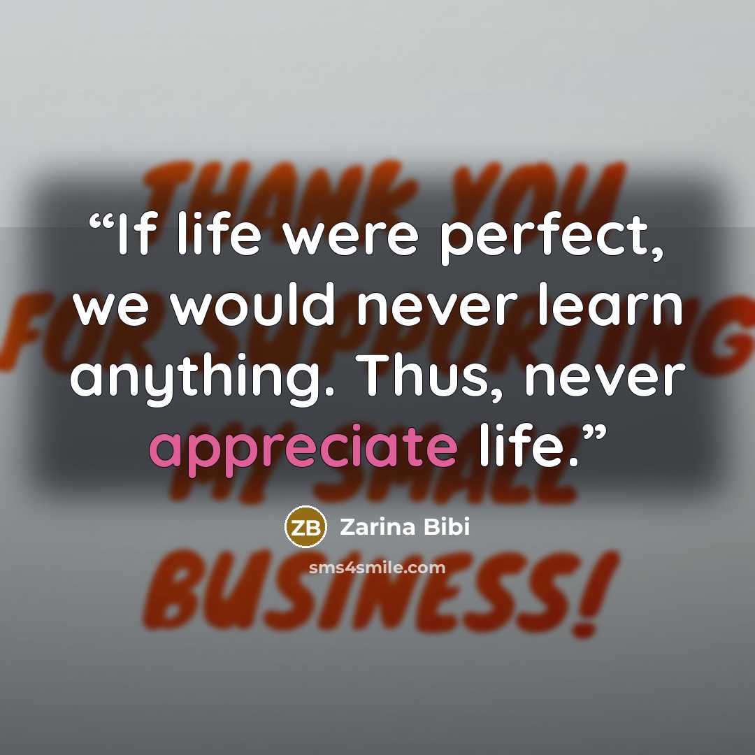 “If life were perfect, we would never learn anything. Thus, never appreciate life.” quote by Zarina Bibi