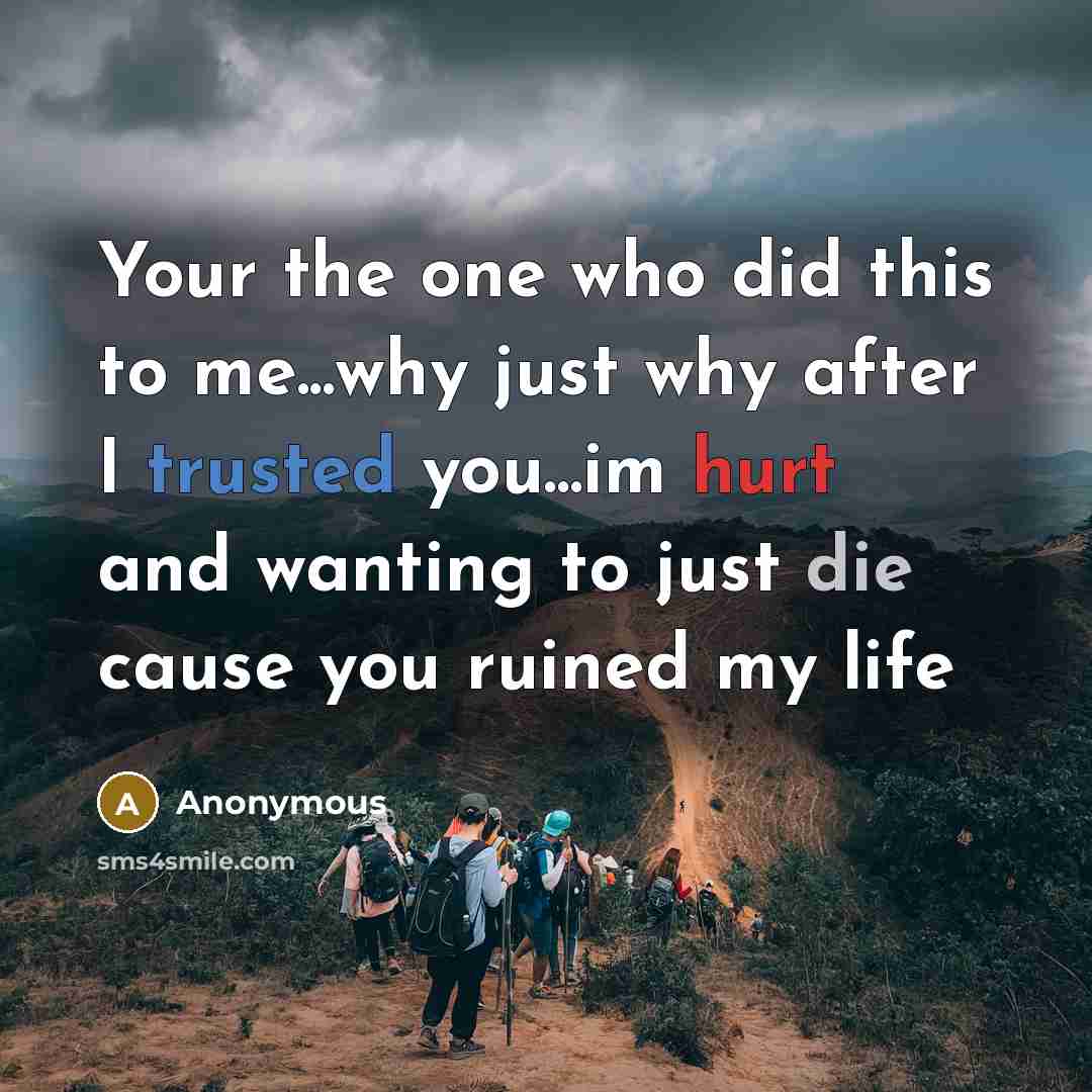 “Your the one who did this to me...why just why after I trusted you...im hurt and wanting to just die cause you ruined my life” quote by Anonymous