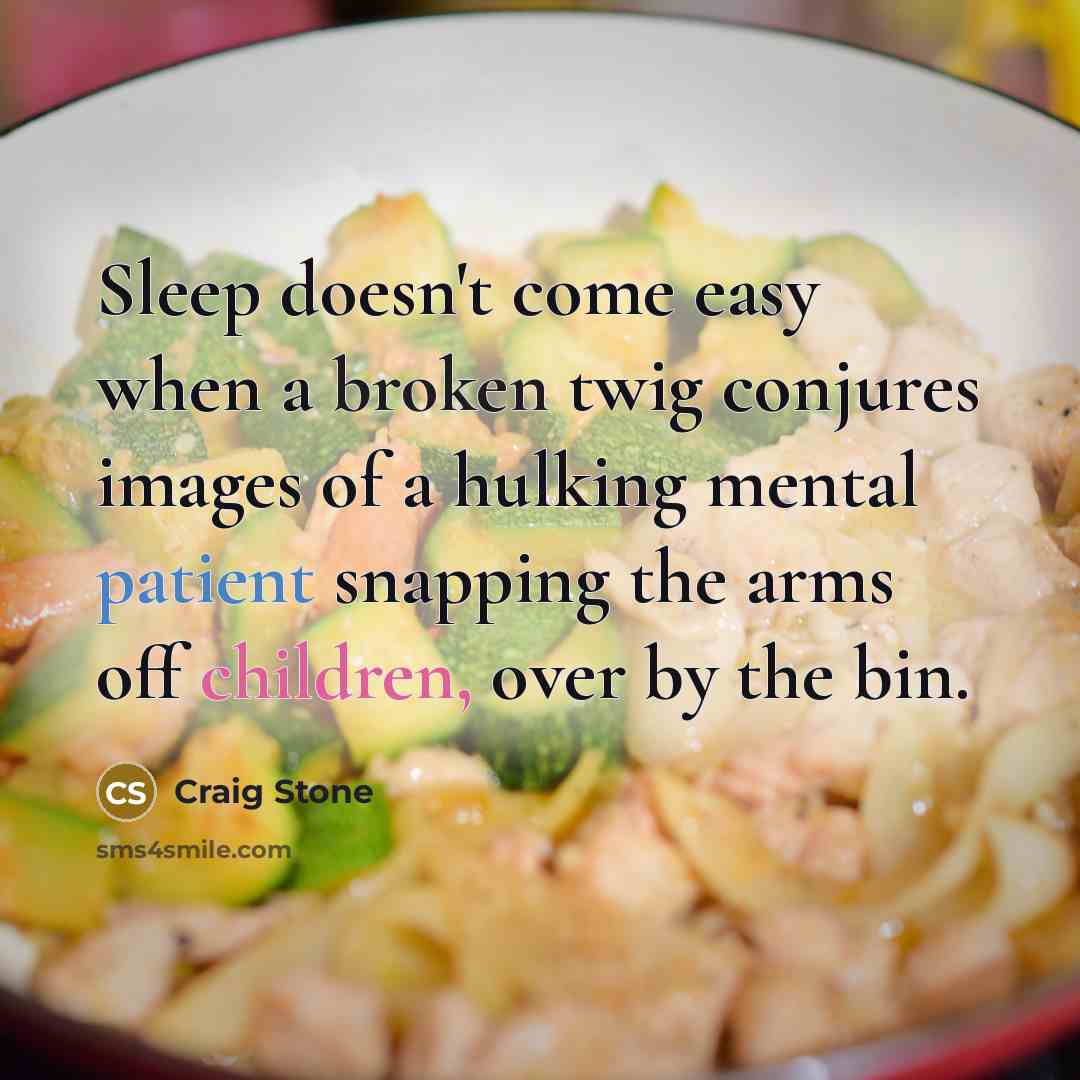 “Sleep doesn't come easy when a broken twig conjures images of a hulking mental patient snapping the arms off children, over by the bin.” quote by Craig Stone