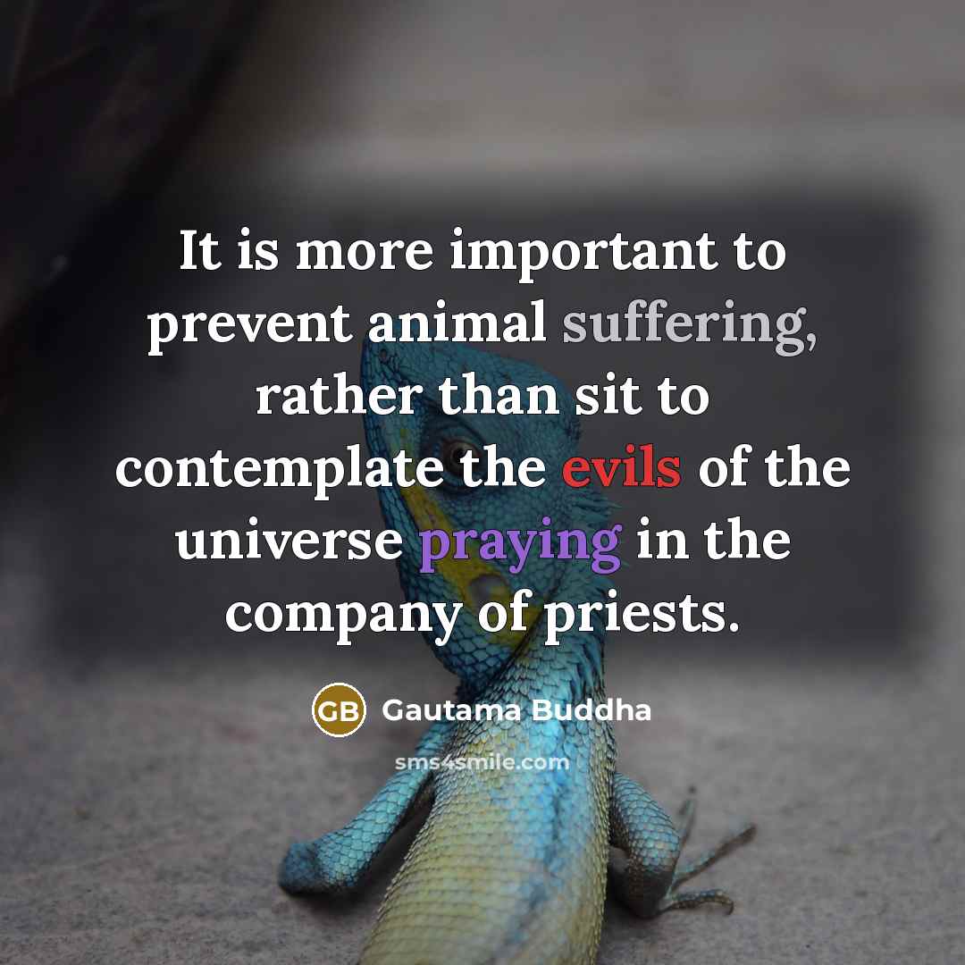 “It is more important to prevent animal suffering, rather than sit to contemplate the evils of the universe praying in the company of priests.” quote by Gautama Buddha