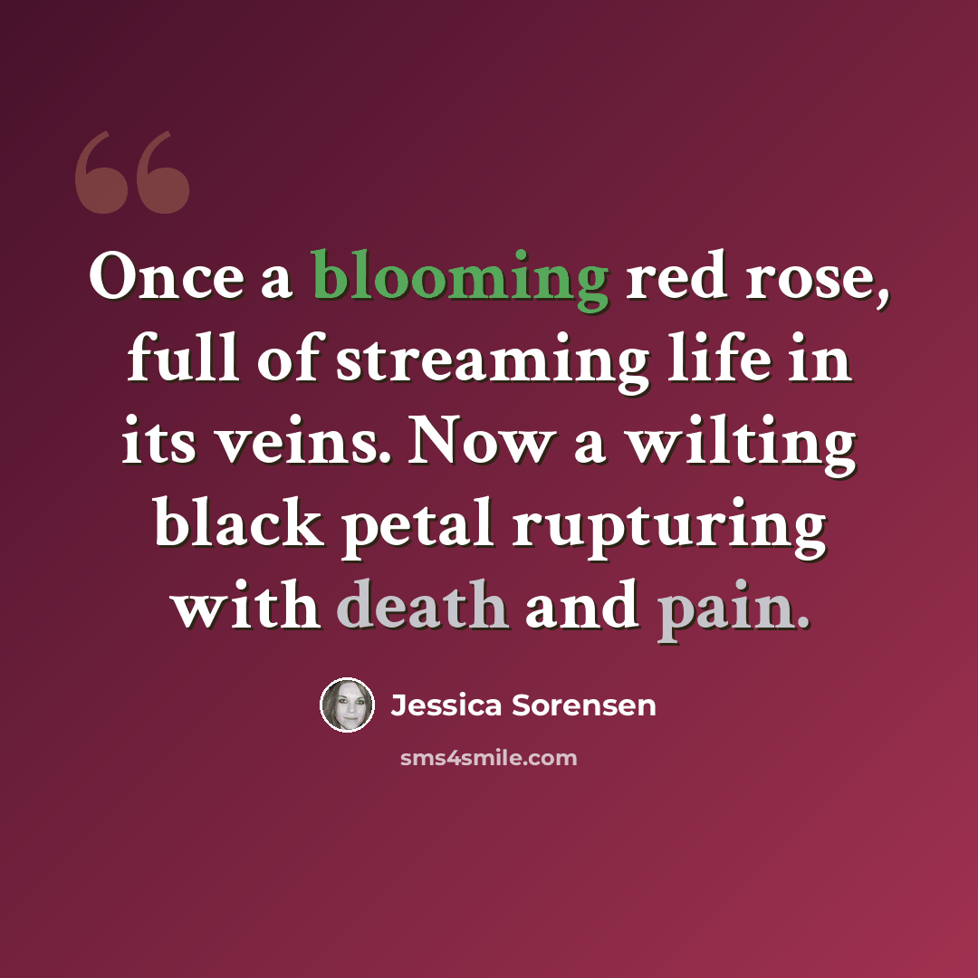 “Once a blooming red rose, full of streaming life in its veins. Now a wilting black petal rupturing with death and pain.” quote by Jessica Sorensen