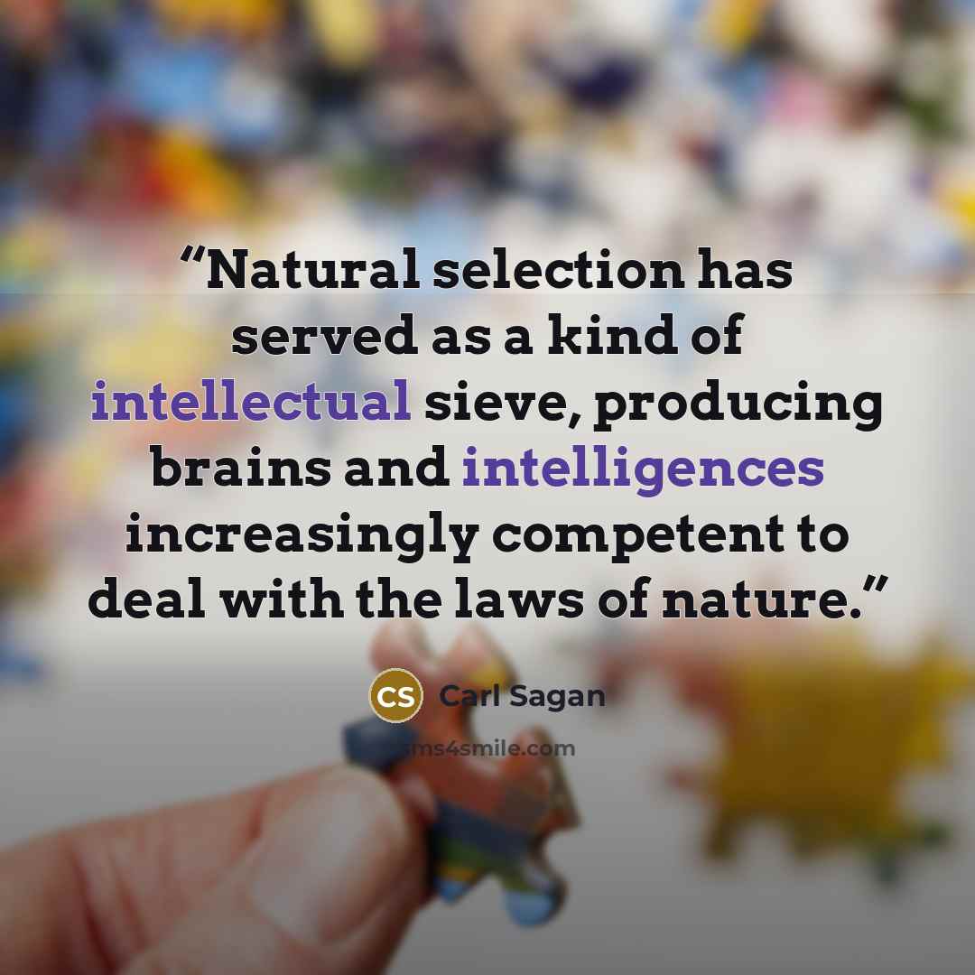 “Natural selection has served as a kind of intellectual sieve, producing brains and intelligences increasingly competent to deal with the laws of nature.” quote by Carl Sagan