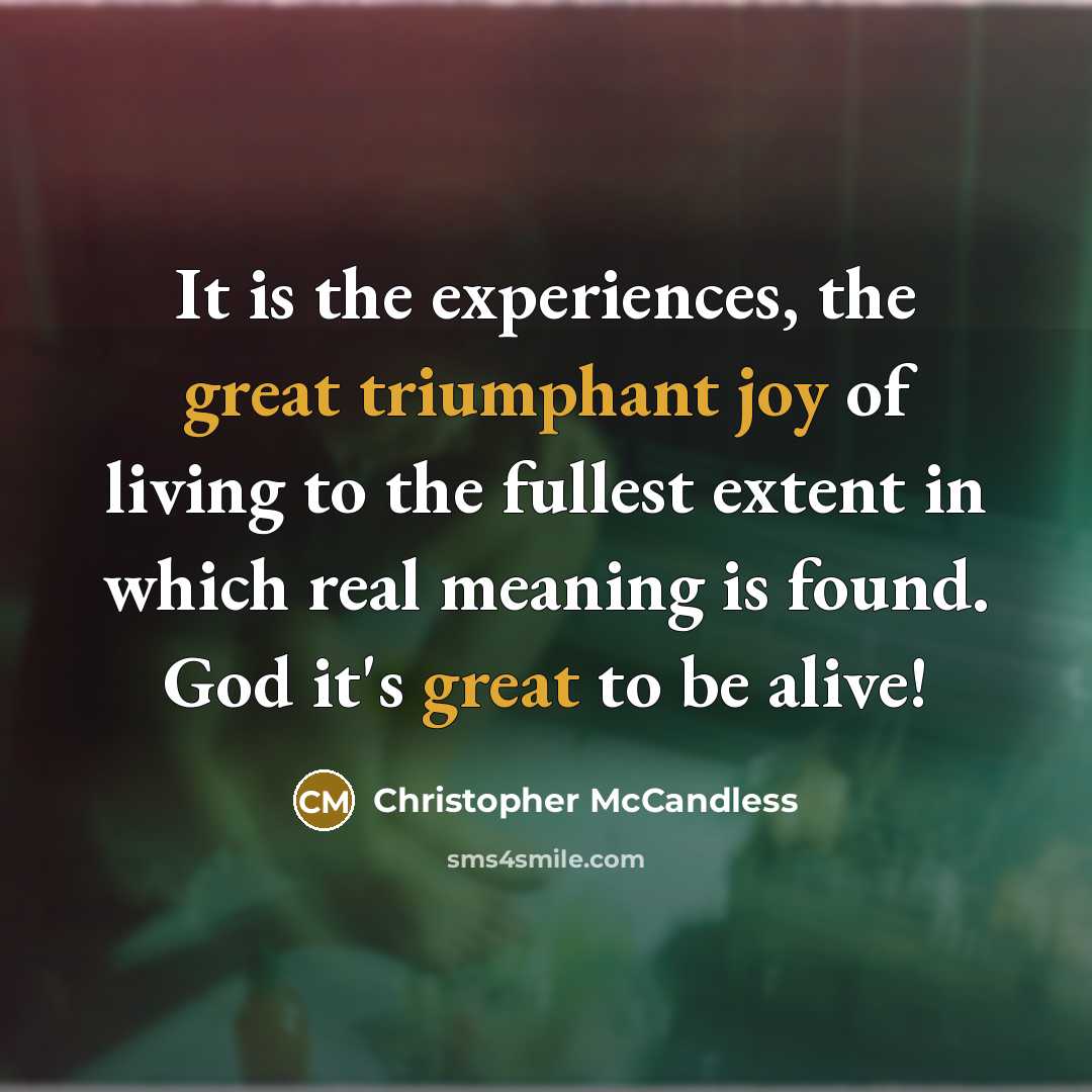 “It is the experiences, the great triumphant joy of living to the fullest extent in which real meaning is found. God it's great to be alive!” quote by Christopher McCandless