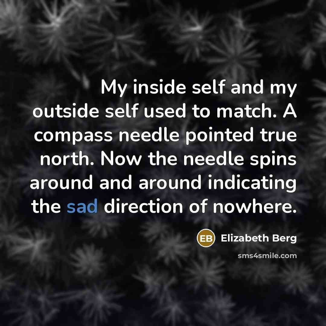 “My inside self and my outside self used to match. A compass needle pointed true north. Now the needle spins around and around indicating the sad direction of nowhere.” quote by Elizabeth Berg
