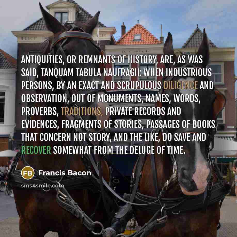 “Antiquities, or remnants of history, are, as was said, tanquam tabula naufragii: when industrious persons, by an exact and scrupulous diligence and observation, out of monuments, names, words, proverbs, traditions, private records and evidences, fragments of stories, passages of books that concern…” quote by Francis Bacon