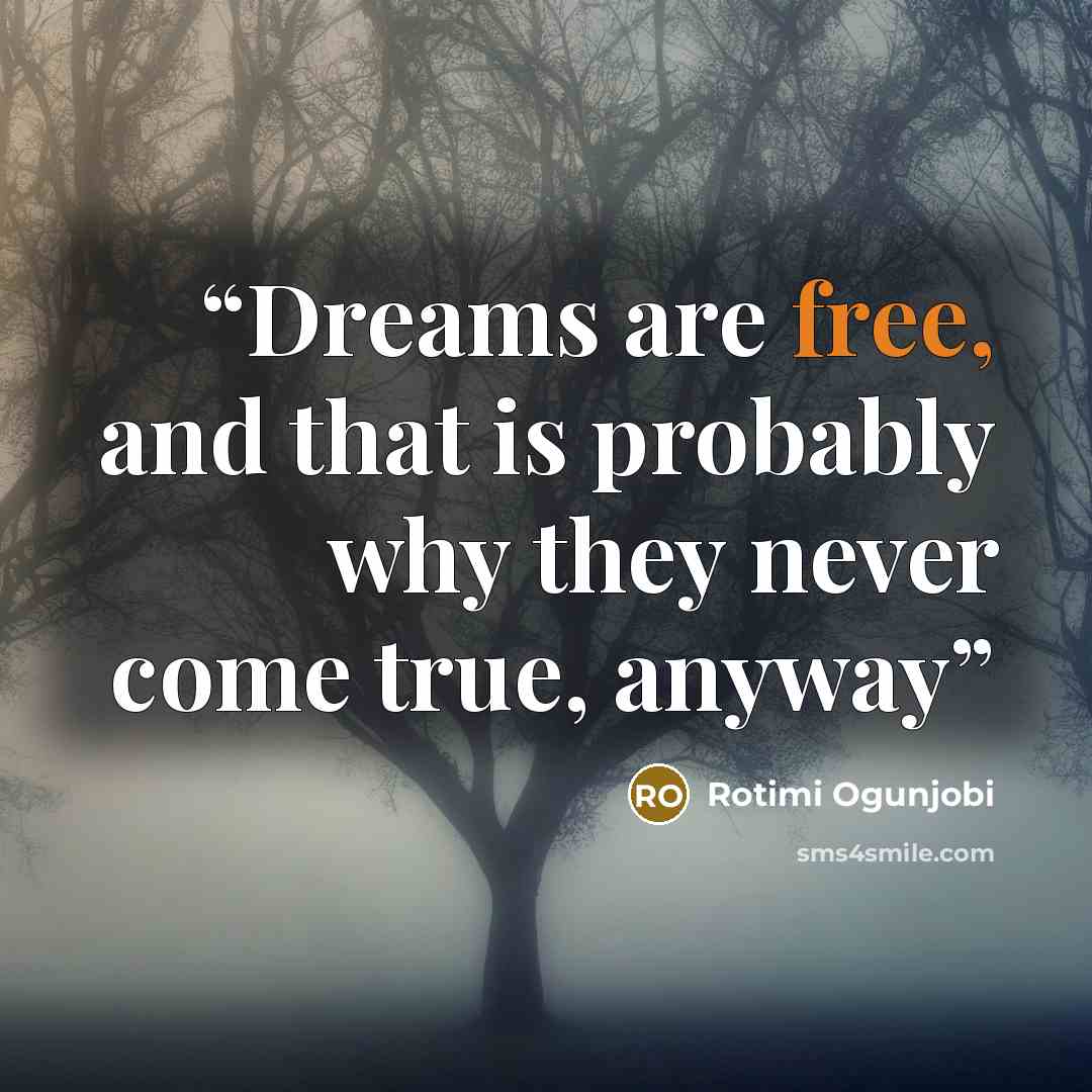 “Dreams are free, and that is probably why they never come true, anyway” quote by Rotimi Ogunjobi