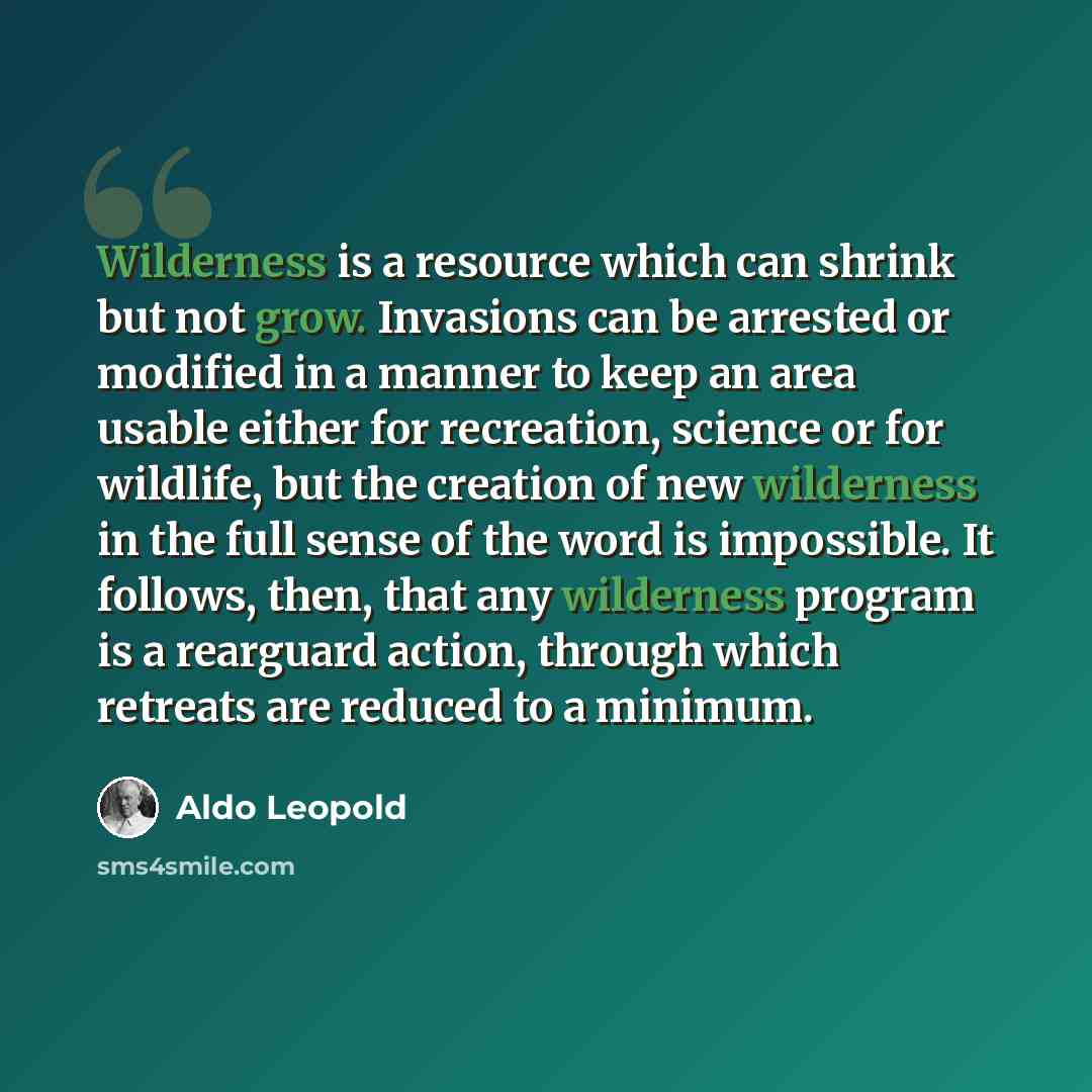 “Wilderness is a resource which can shrink but not grow. Invasions can be arrested or modified in a manner to keep an area usable either for recreation, science or for wildlife, but the creation of new wilderness in the full sense of the word is impossible. It follows, then, that any wilderness…” quote by Aldo Leopold