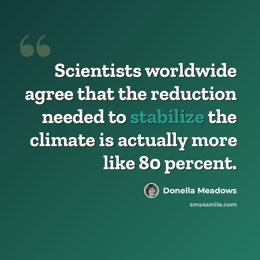 “Scientists worldwide agree that the reduction needed to stabilize the climate is actually more like 80 percent.” quote by Donella Meadows