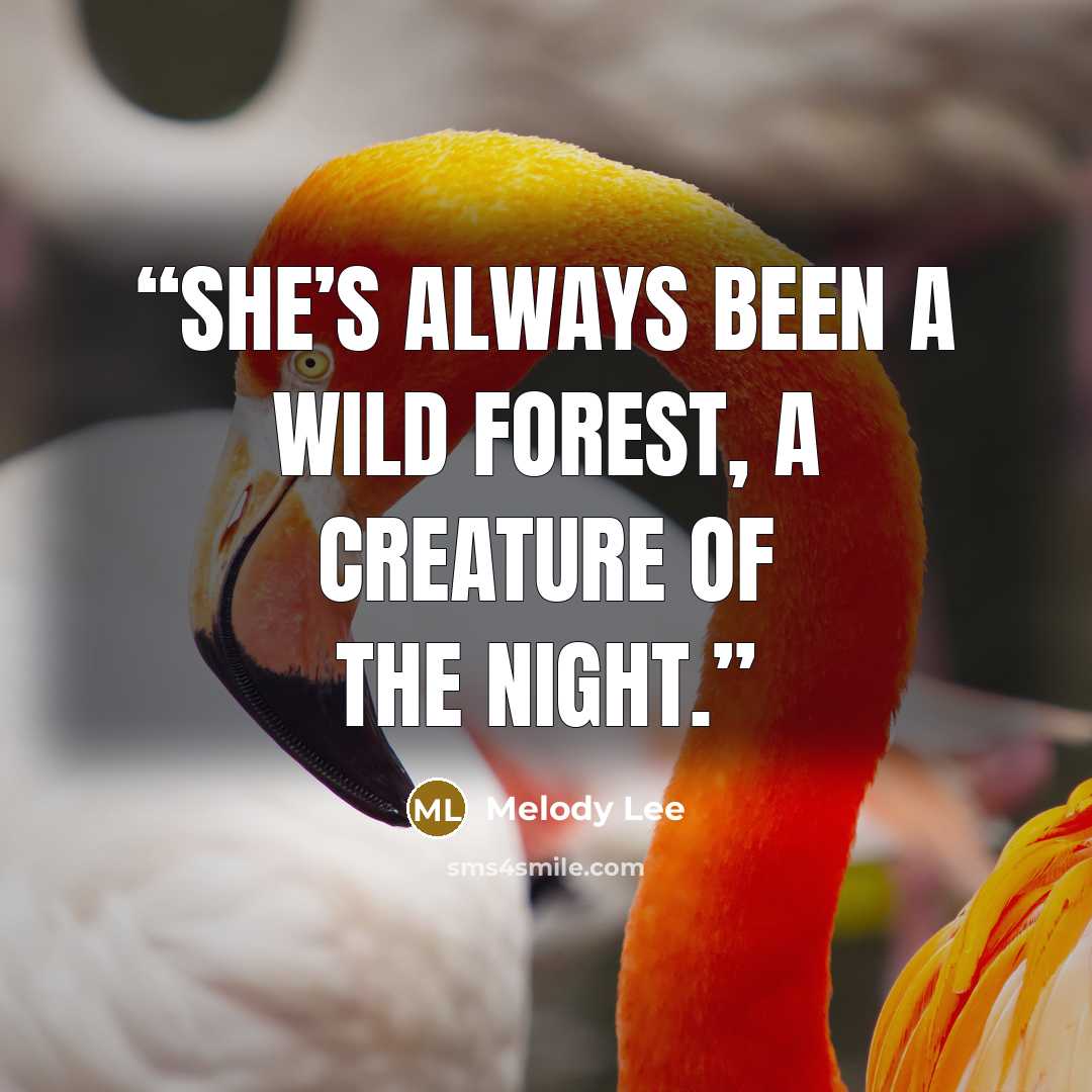 “She’s always been a wild forest, a creature of the night.” quote by Melody Lee
