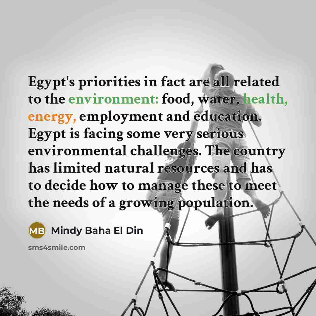 “Egypt's priorities in fact are all related to the environment: food, water, health, energy, employment and education. Egypt is facing some very serious environmental challenges. The country has limited natural resources and has to decide how to manage these to meet the needs of a growing population.” quote by Mindy Baha El Din