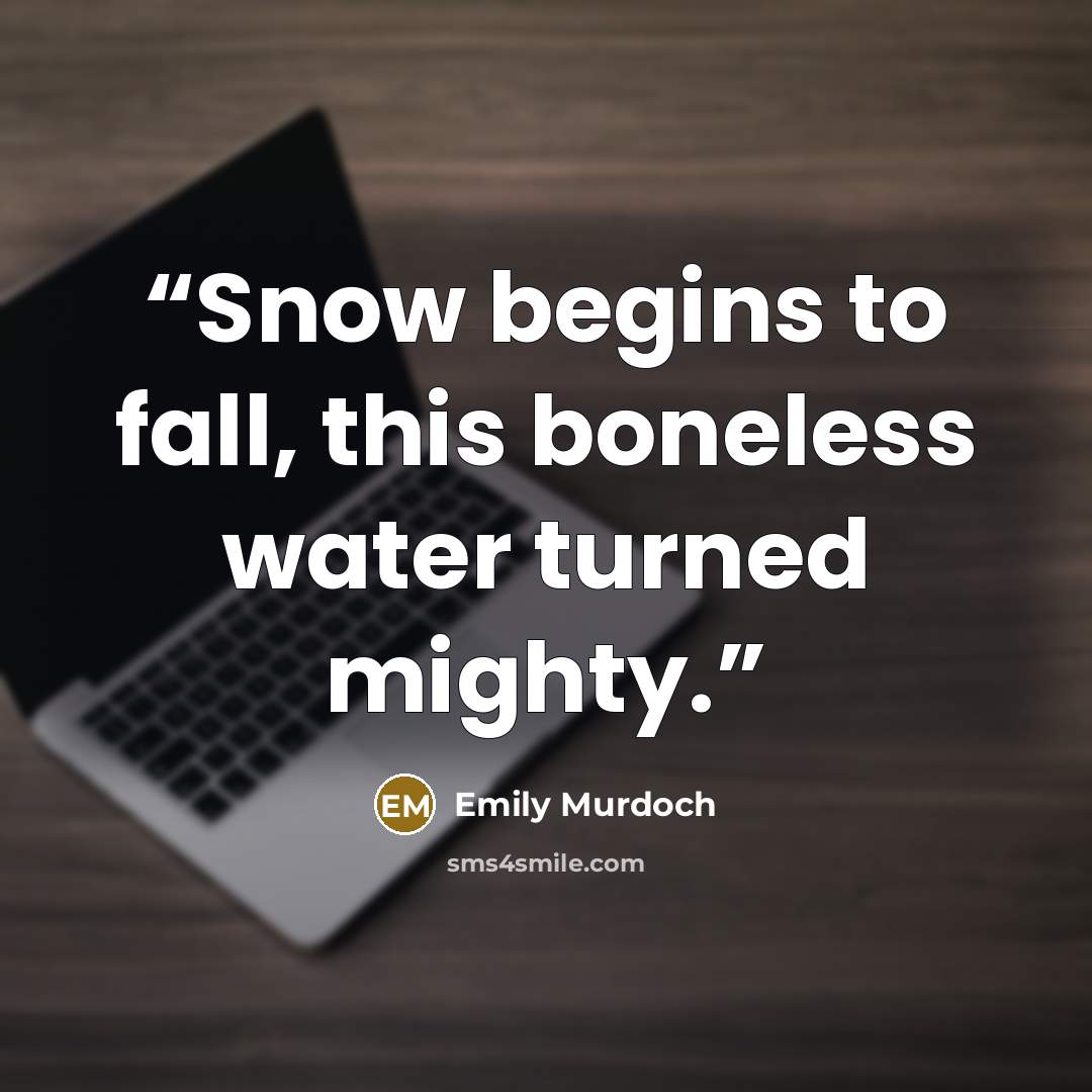 “Snow begins to fall, this boneless water turned mighty.” quote by Emily Murdoch