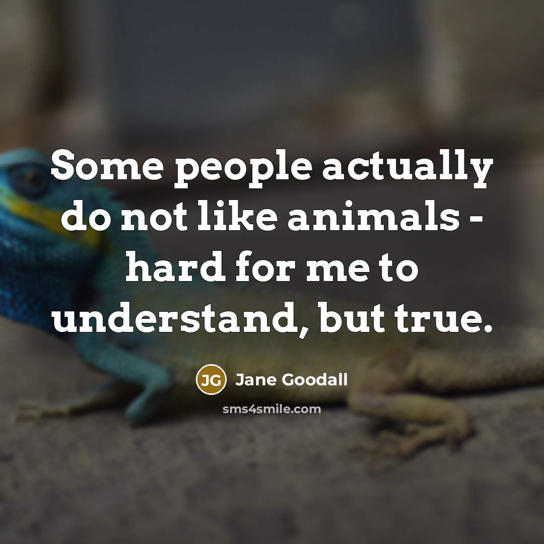 “Some people actually do not like animals - hard for me to understand, but true.” quote by Jane Goodall