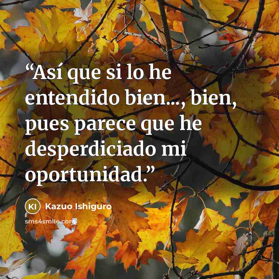 “Así que si lo he entendido bien..., bien, pues parece que he desperdiciado mi oportunidad.” quote by Kazuo Ishiguro