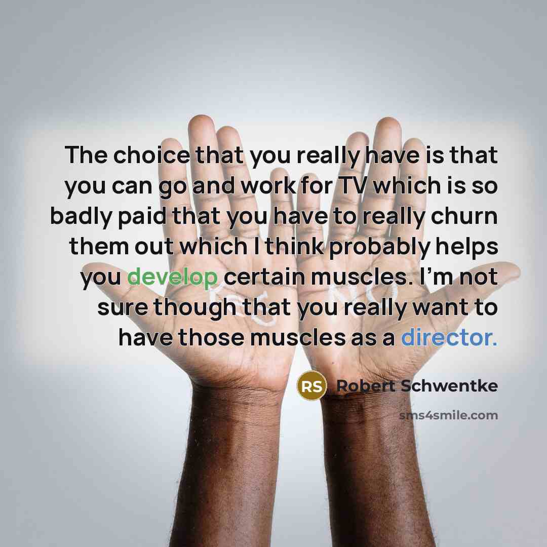 “The choice that you really have is that you can go and work for TV which is so badly paid that you have to really churn them out which I think probably helps you develop certain muscles. I'm not sure though that you really want to have those muscles as a director.” quote by Robert Schwentke