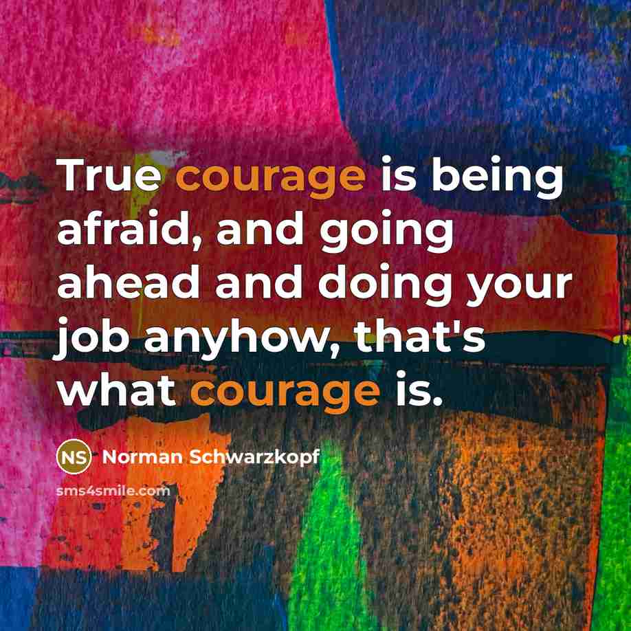 “True courage is being afraid, and going ahead and doing your job anyhow, that's what courage is.” quote by Norman Schwarzkopf