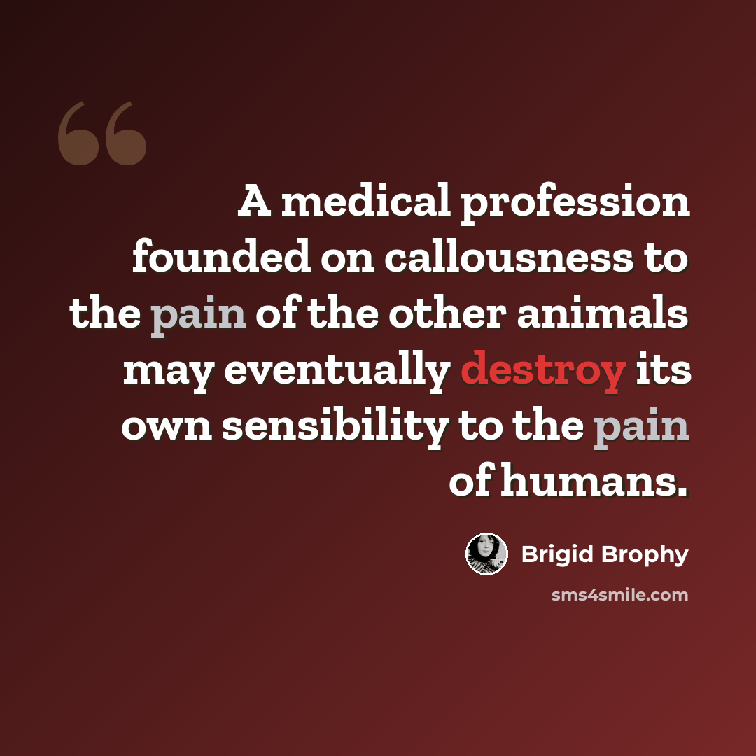 “A medical profession founded on callousness to the pain of the other animals may eventually destroy its own sensibility to the pain of humans.” quote by Brigid Brophy