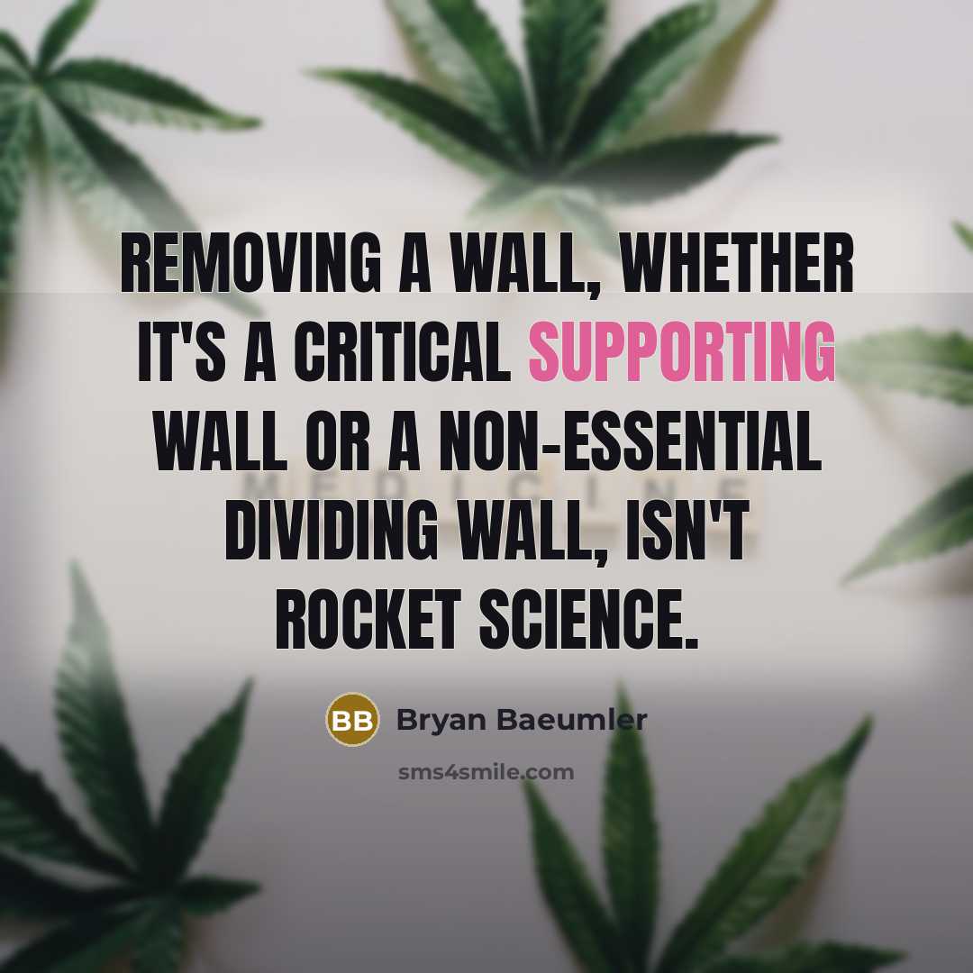 “Removing a wall, whether it's a critical supporting wall or a non-essential dividing wall, isn't rocket science.” quote by Bryan Baeumler