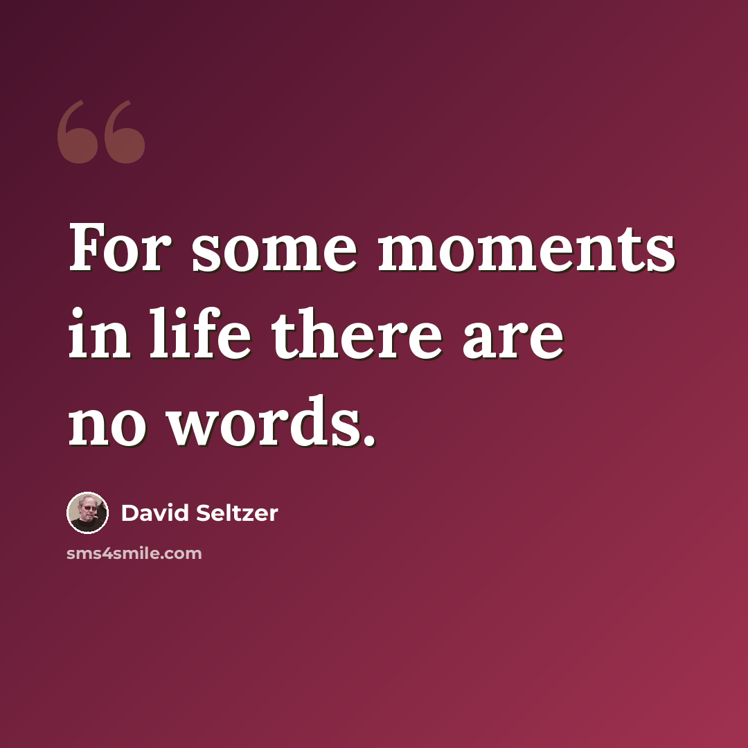 “For some moments in life there are no words.” quote by David Seltzer