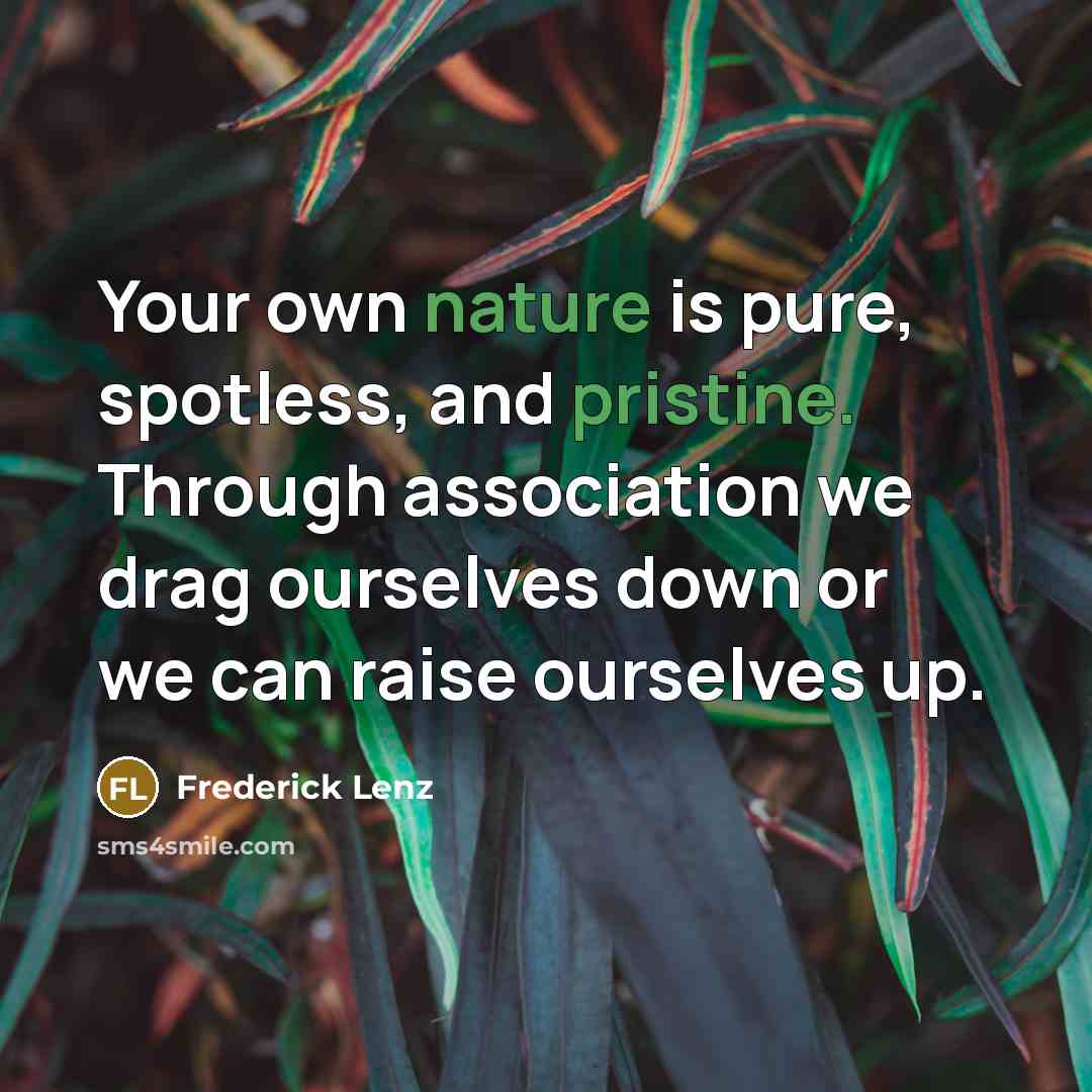 “Your own nature is pure, spotless, and pristine. Through association we drag ourselves down or we can raise ourselves up.” quote by Frederick Lenz
