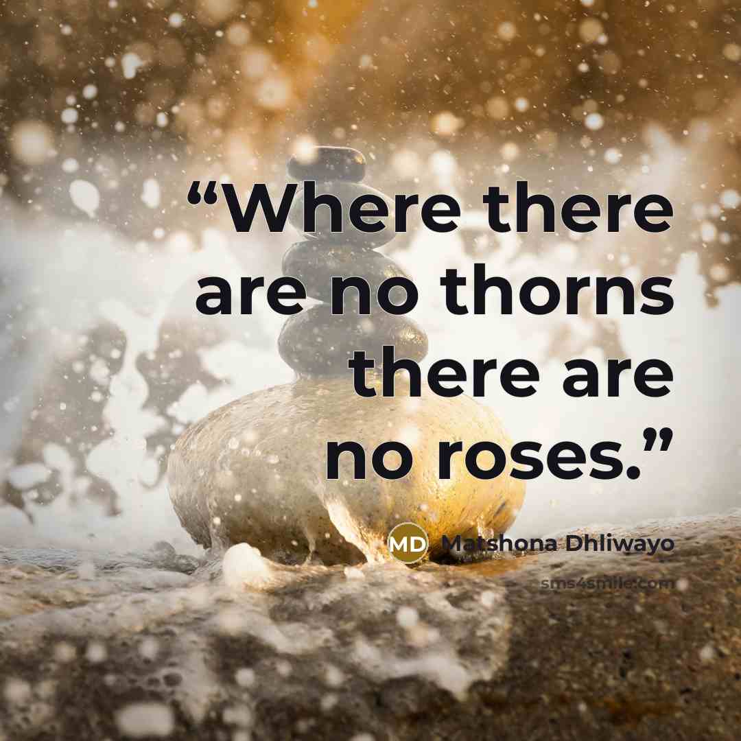 “Where there are no thorns there are no roses.” quote by Matshona Dhliwayo