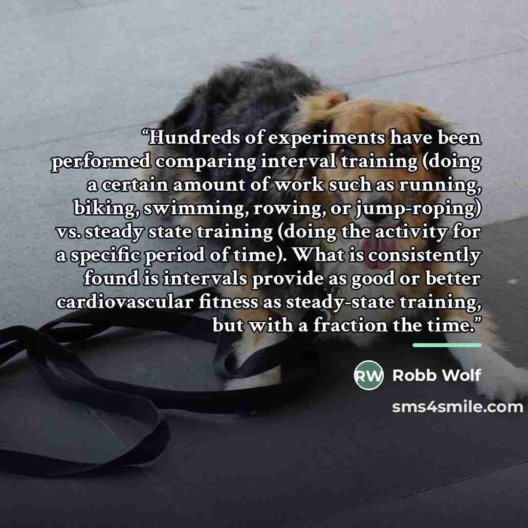 “Hundreds of experiments have been performed comparing interval training (doing a certain amount of work such as running, biking, swimming, rowing, or jump-roping) vs. steady state training (doing the activity for a specific period of time). What is consistently found is intervals provide as good…” quote by Robb Wolf