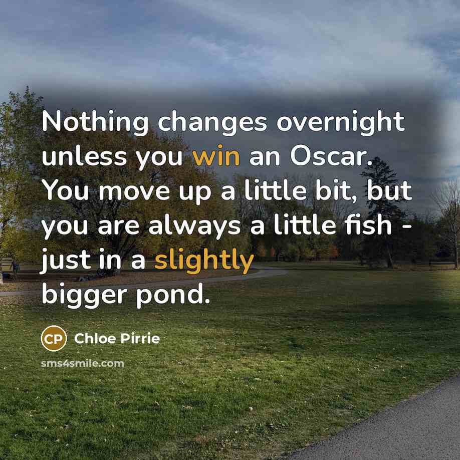 “Nothing changes overnight unless you win an Oscar. You move up a little bit, but you are always a little fish - just in a slightly bigger pond.” quote by Chloe Pirrie