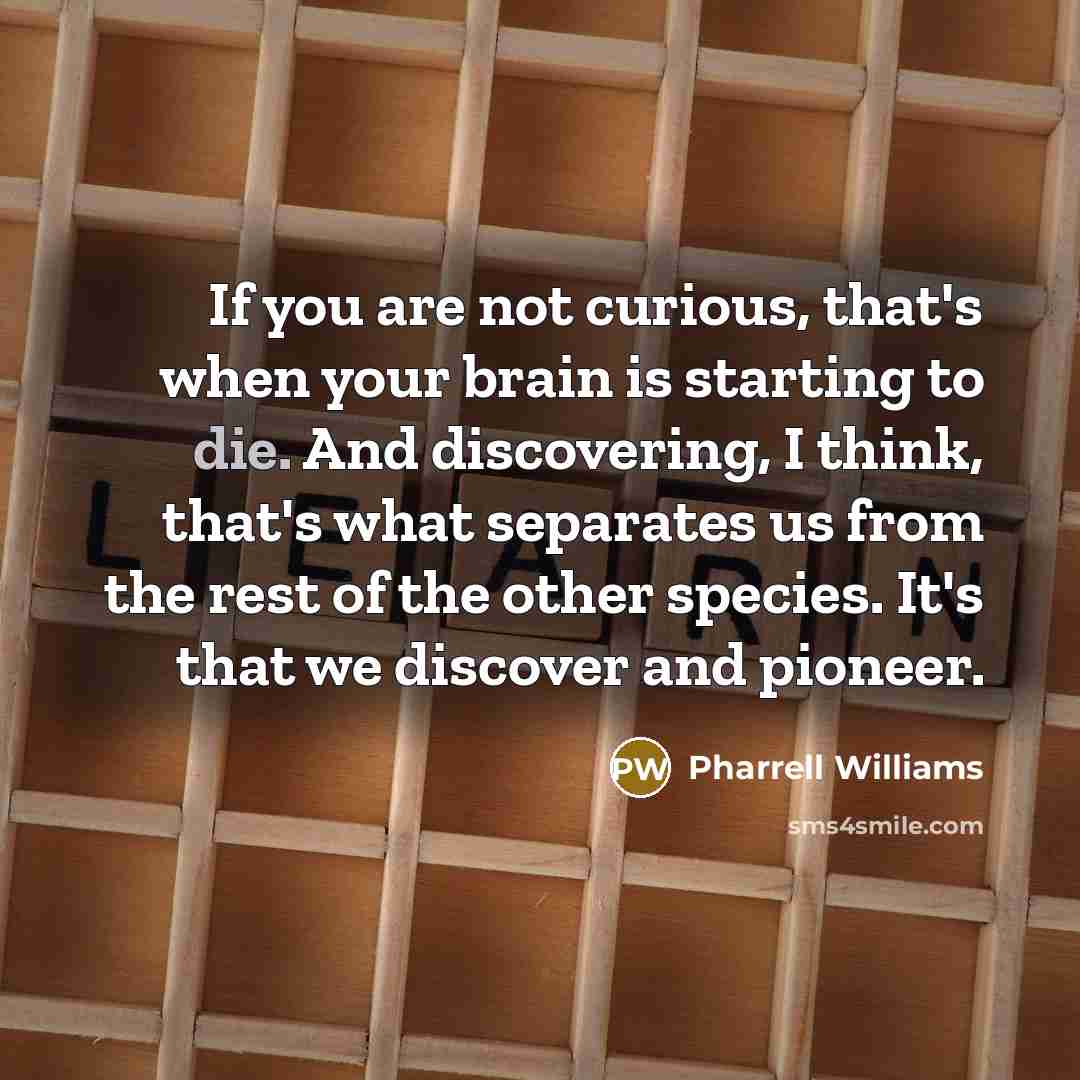 “If you are not curious, that's when your brain is starting to die. And discovering, I think, that's what separates us from the rest of the other species. It's that we discover and pioneer.” quote by Pharrell Williams