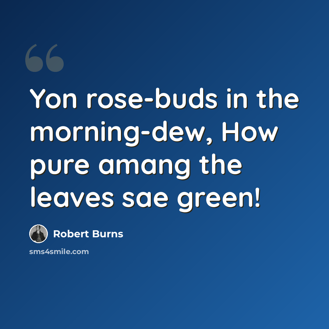 “Yon rose-buds in the morning-dew, How pure amang the leaves sae green!” quote by Robert Burns