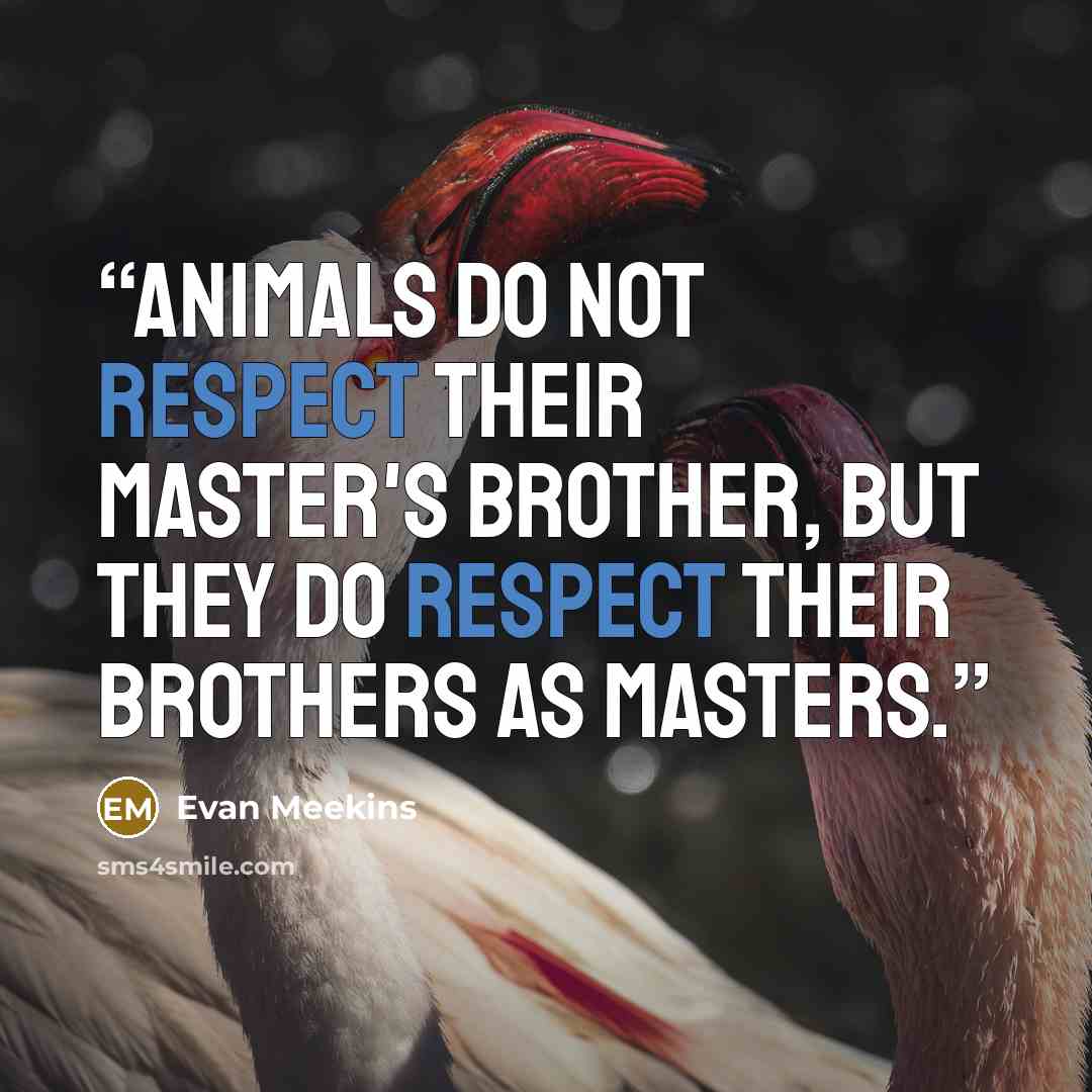 “Animals do not respect their master's brother, but they do respect their brothers as masters.” quote by Evan Meekins