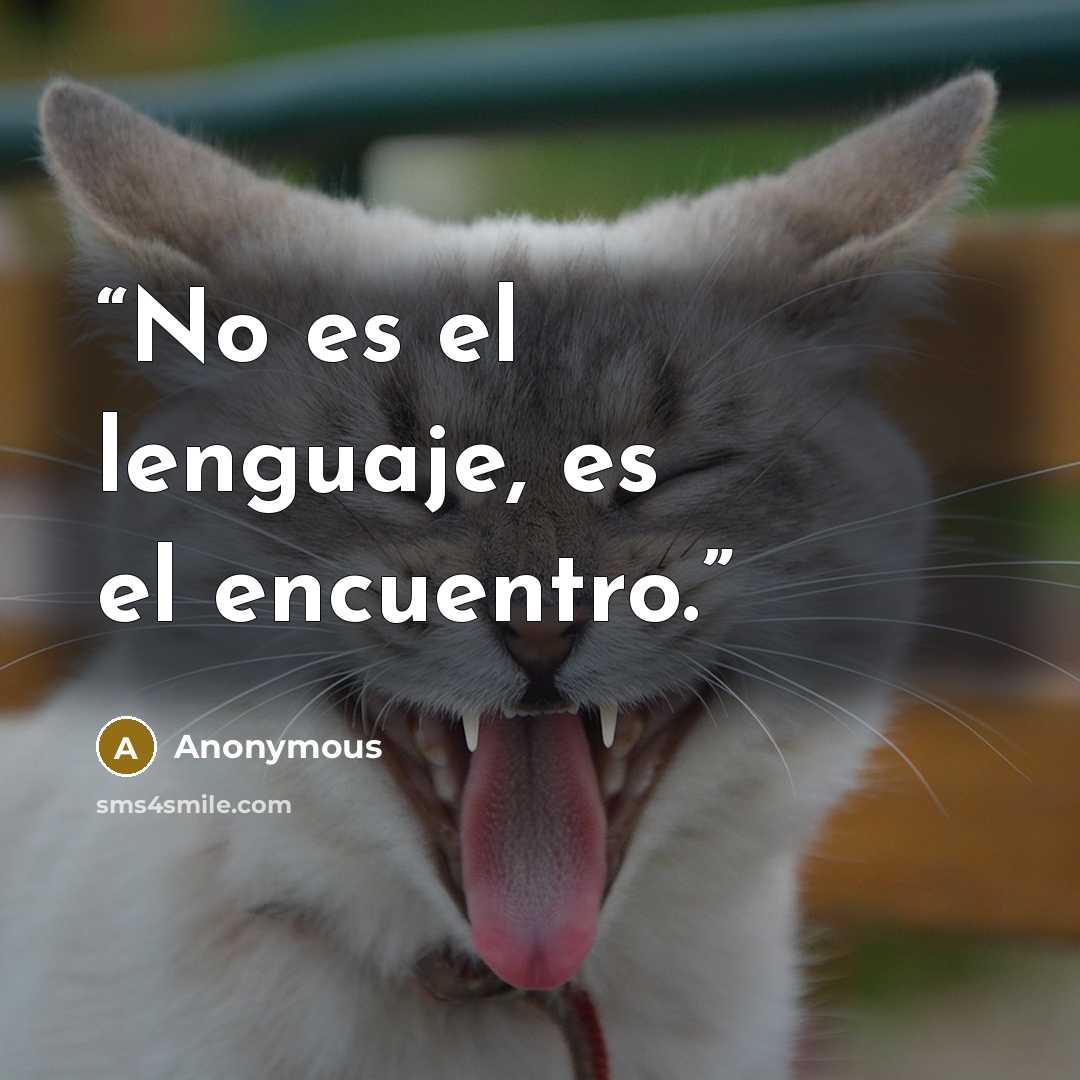 “No es el lenguaje, es el encuentro.” quote by Anonymous