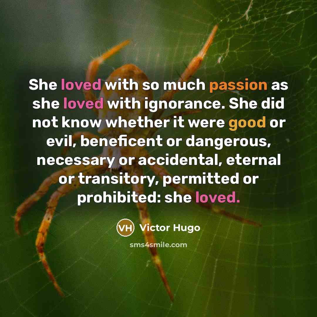 “She loved with so much passion as she loved with ignorance. She did not know whether it were good or evil, beneficent or dangerous, necessary or accidental, eternal or transitory, permitted or prohibited: she loved.” quote by Victor Hugo
