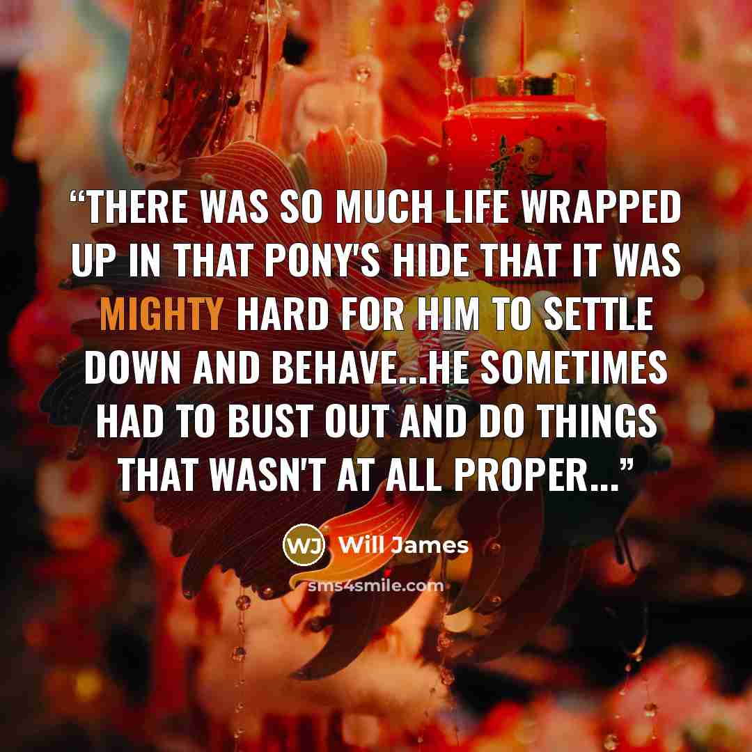 “There was so much life wrapped up in that pony's hide that it was mighty hard for him to settle down and behave...he sometimes had to bust out and do things that wasn't at all proper...” quote by Will James
