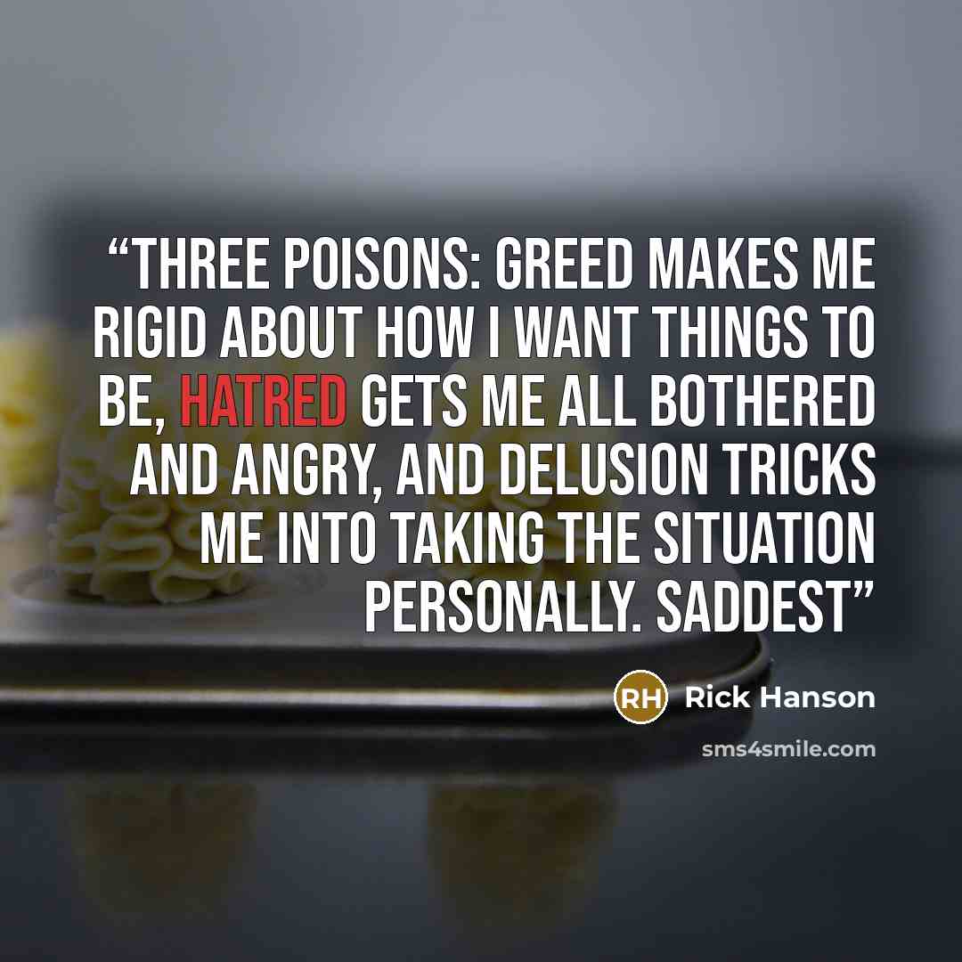“Three Poisons: greed makes me rigid about how I want things to be, hatred gets me all bothered and angry, and delusion tricks me into taking the situation personally. Saddest” quote by Rick Hanson
