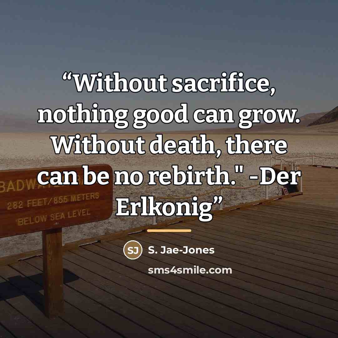 “Without sacrifice, nothing good can grow. Without death, there can be no rebirth." -Der Erlkonig” quote by S. Jae-Jones