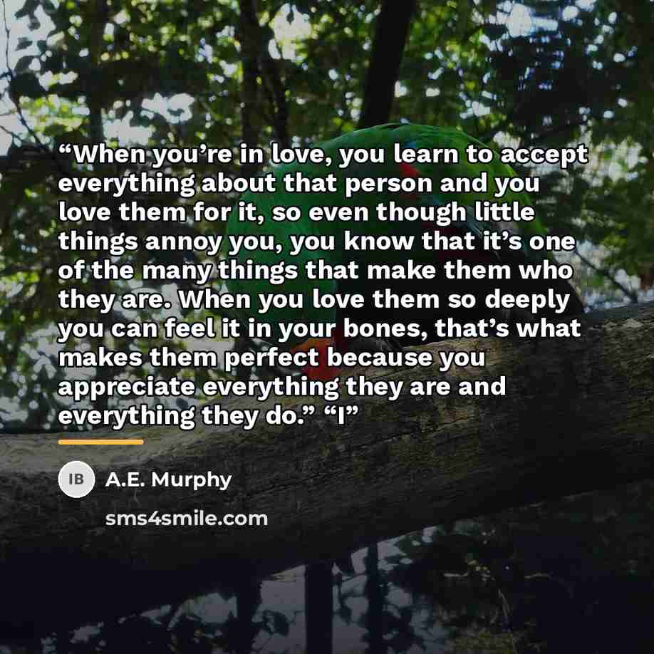 “When you’re in love, you learn to accept everything about that person and you love them for it, so even though little things annoy you, you know that it’s one of the many things that make them who they are. When you love them so deeply you can feel it in your bones, that’s what makes them perfect…” quote by A.E. Murphy