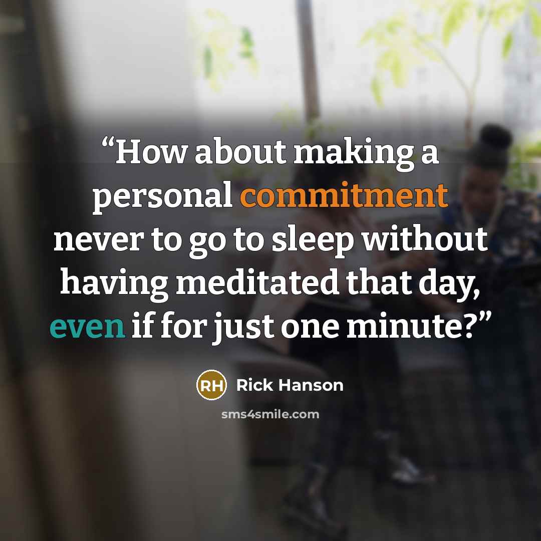 “How about making a personal commitment never to go to sleep without having meditated that day, even if for just one minute?” quote by Rick Hanson