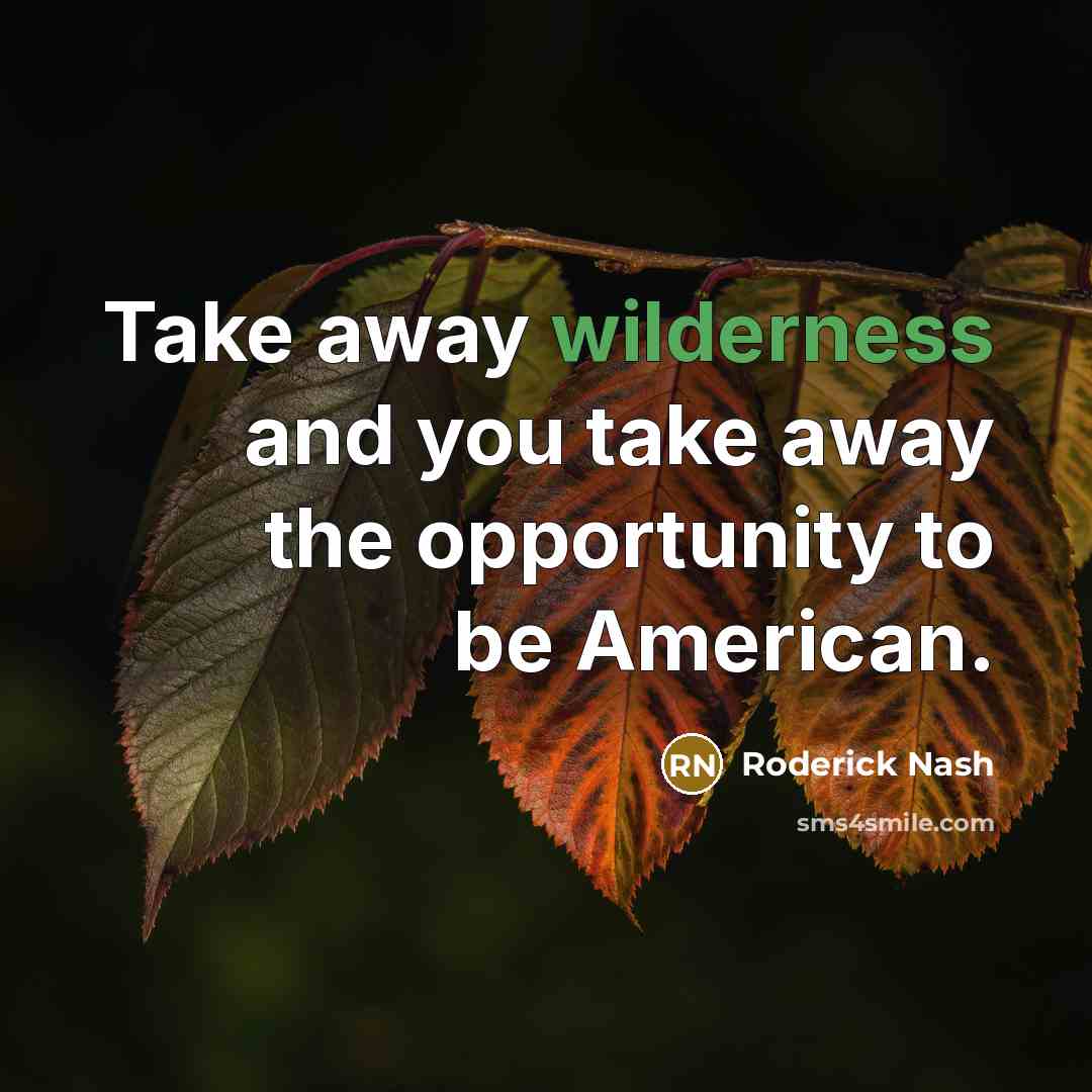 “Take away wilderness and you take away the opportunity to be American.” quote by Roderick Nash