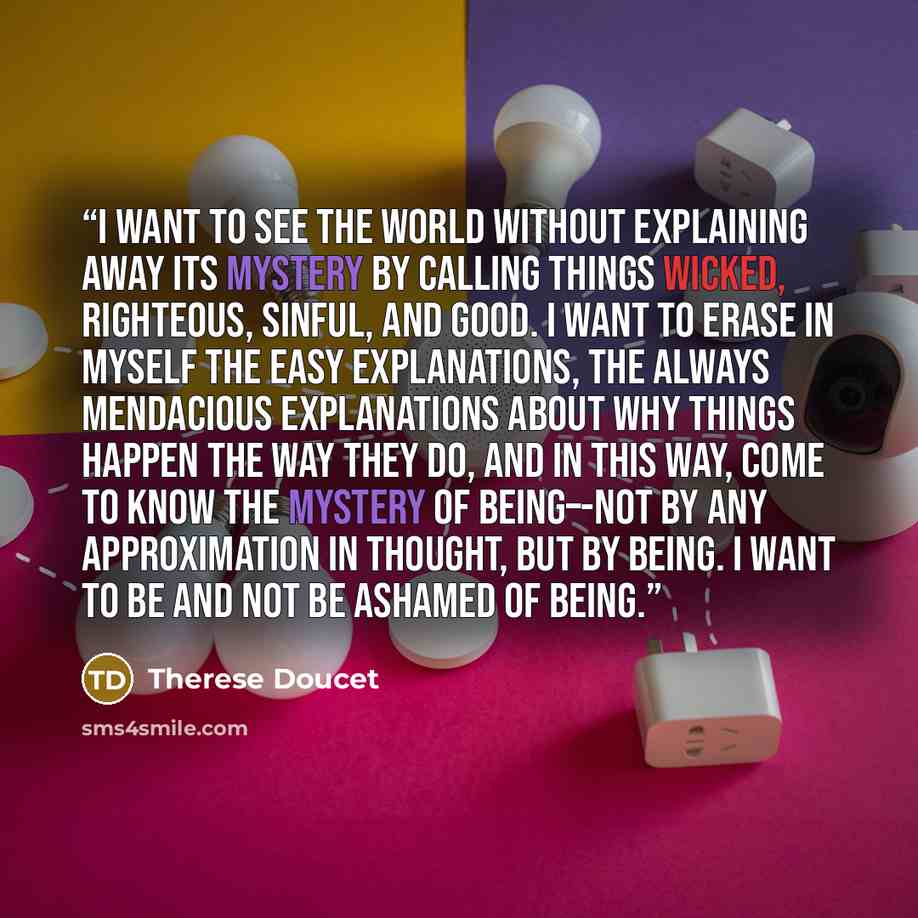“I want to see the world without explaining away its mystery by calling things wicked, righteous, sinful, and good. I want to erase in myself the easy explanations, the always mendacious explanations about why things happen the way they do, and in this way, come to know the mystery of being–-not by…” quote by Therese Doucet
